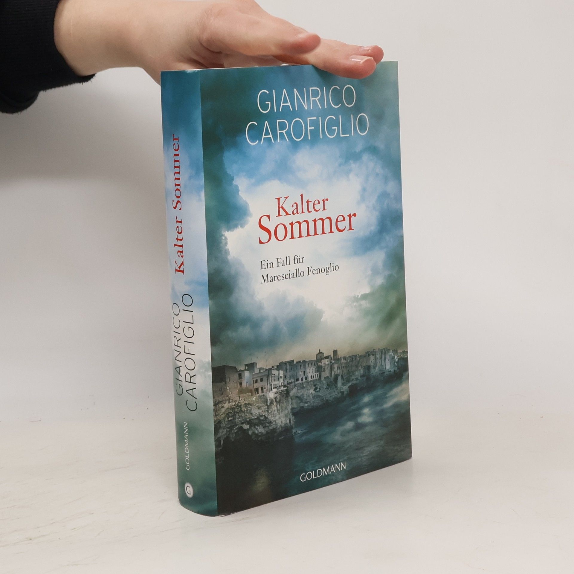 Gianrico Carofiglio Kalter Sommer