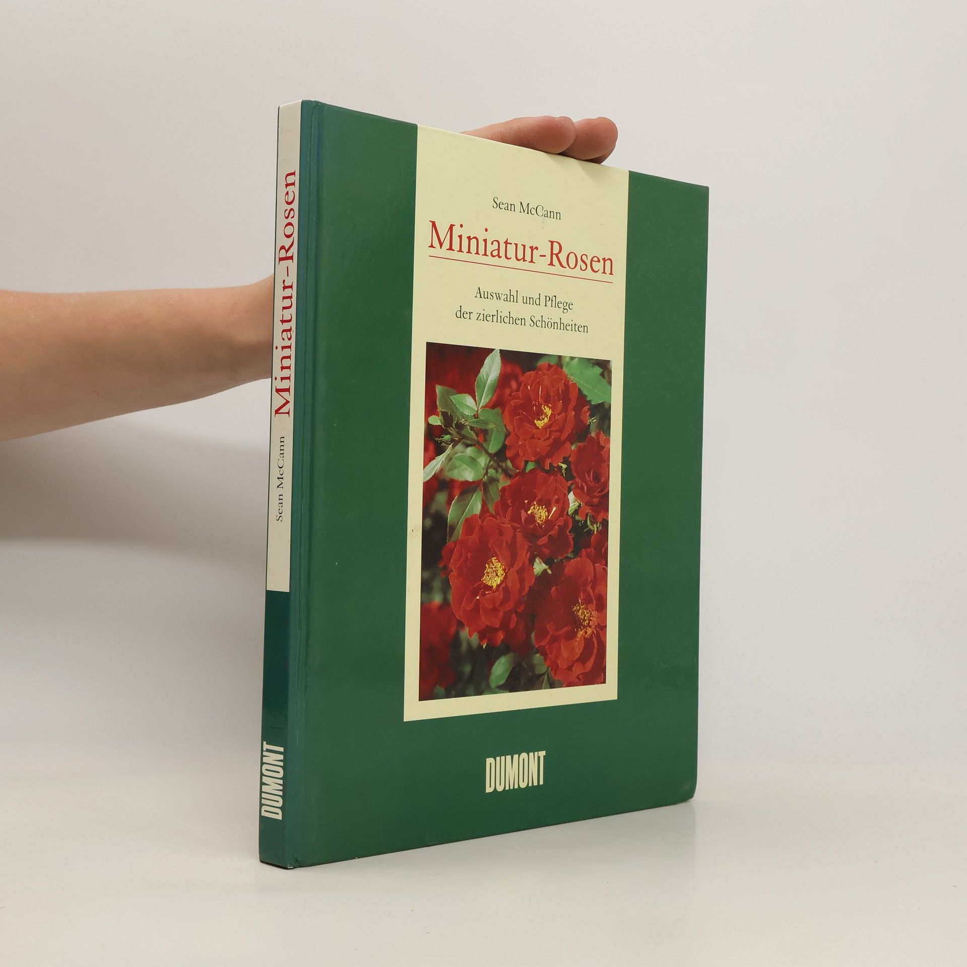 Sean McCann Miniatur-Rosen