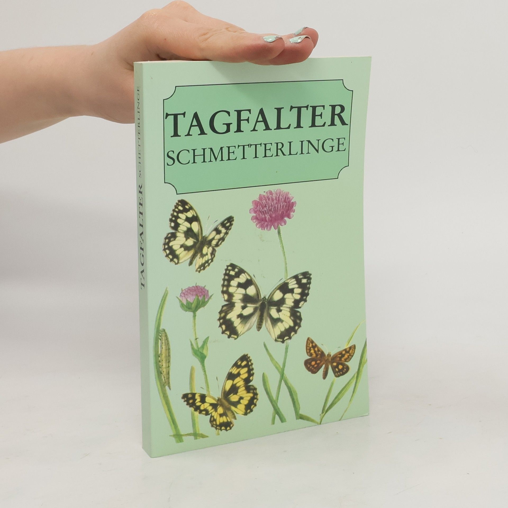 Collectif d'auteurs Tagfalter. Schmetterlinge