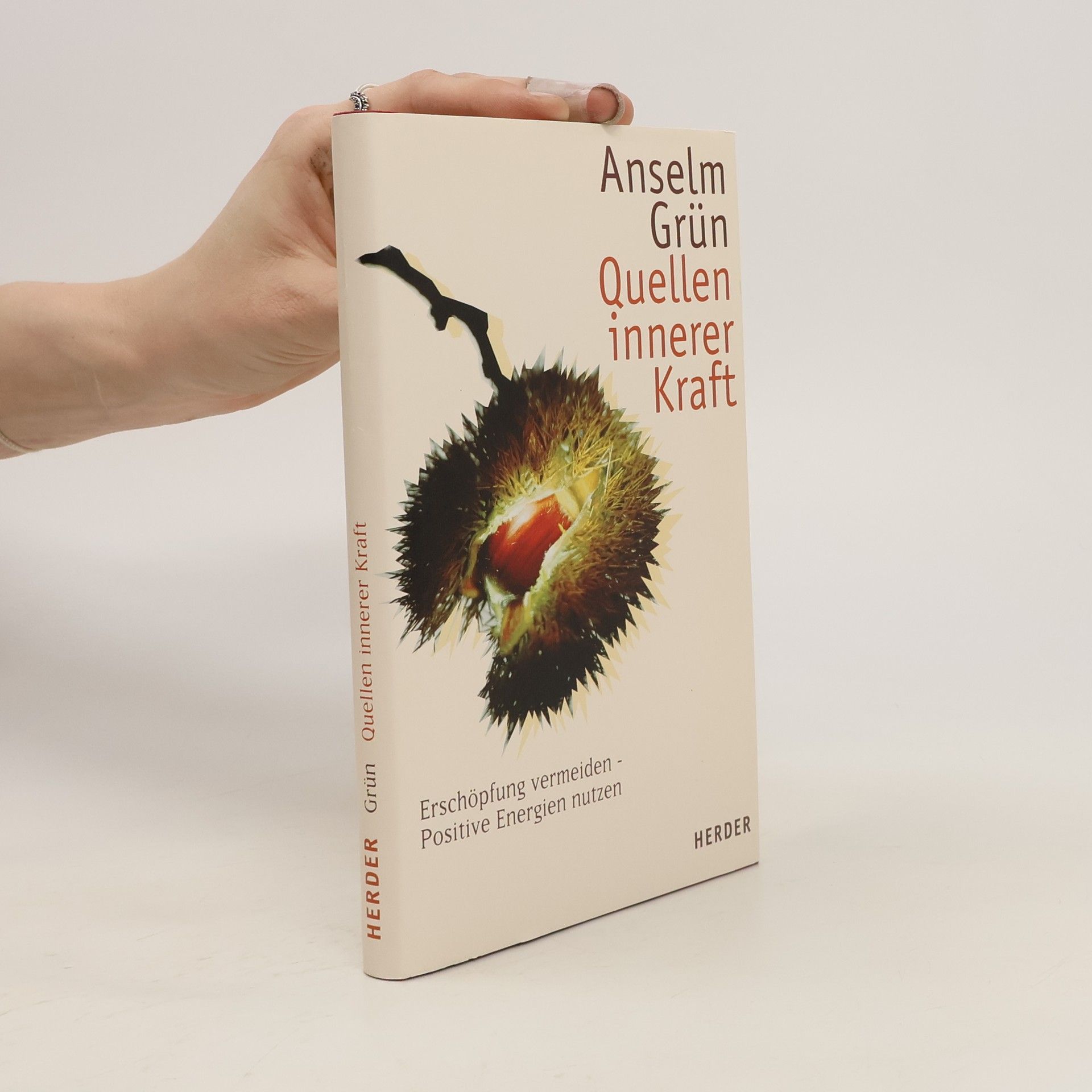 Anselm Grün Quellen innerer Kraft