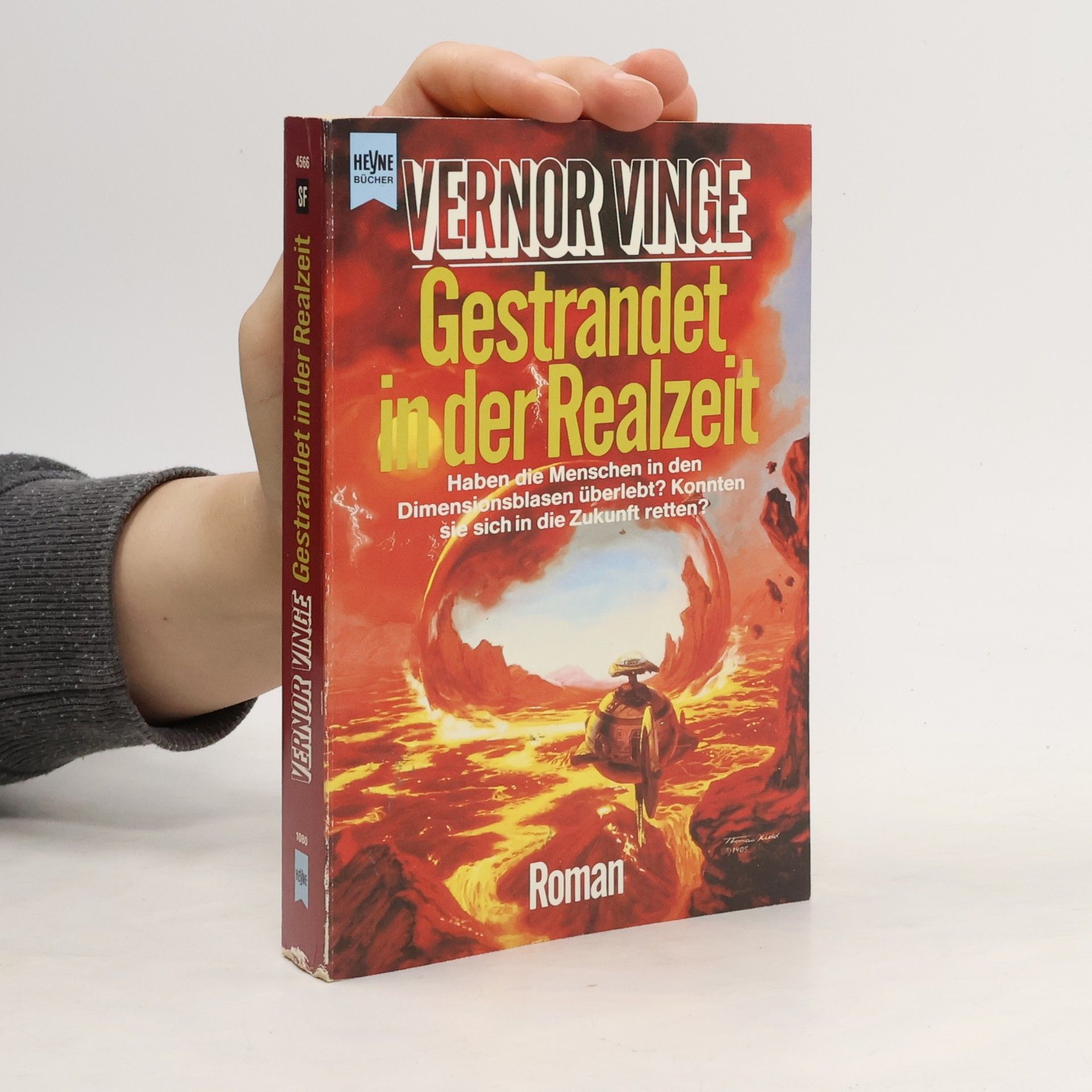 Vernor Vinge Gestrandet in der Realzeit. Roman.