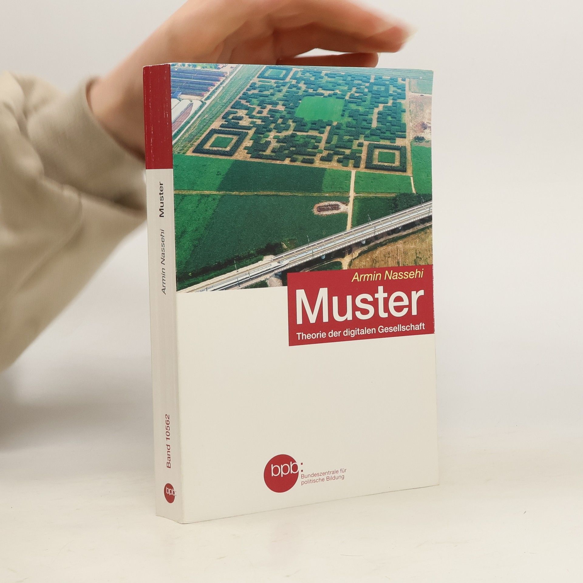 Armin Nassehi Muster