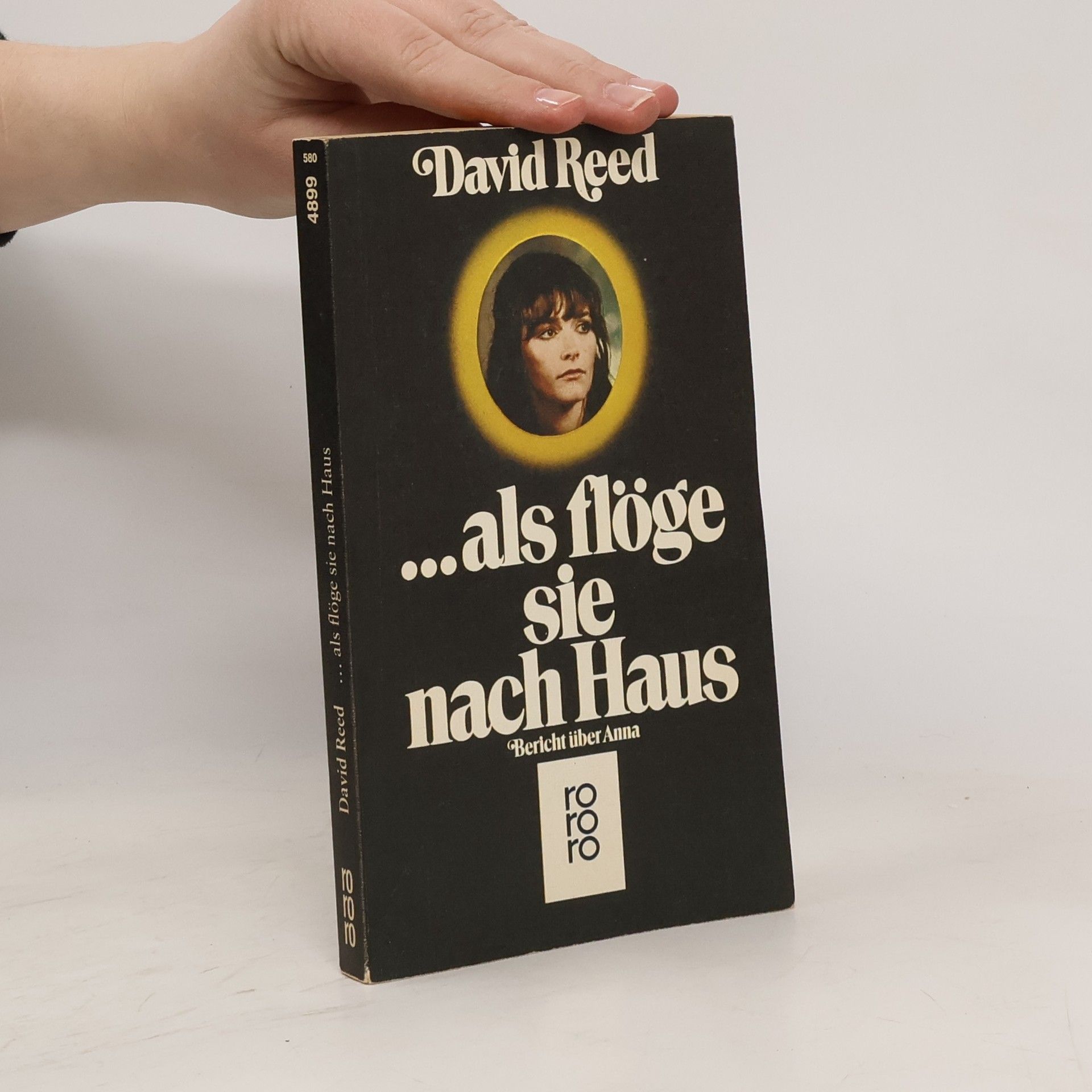David Reed ... als flöge sie nach Haus