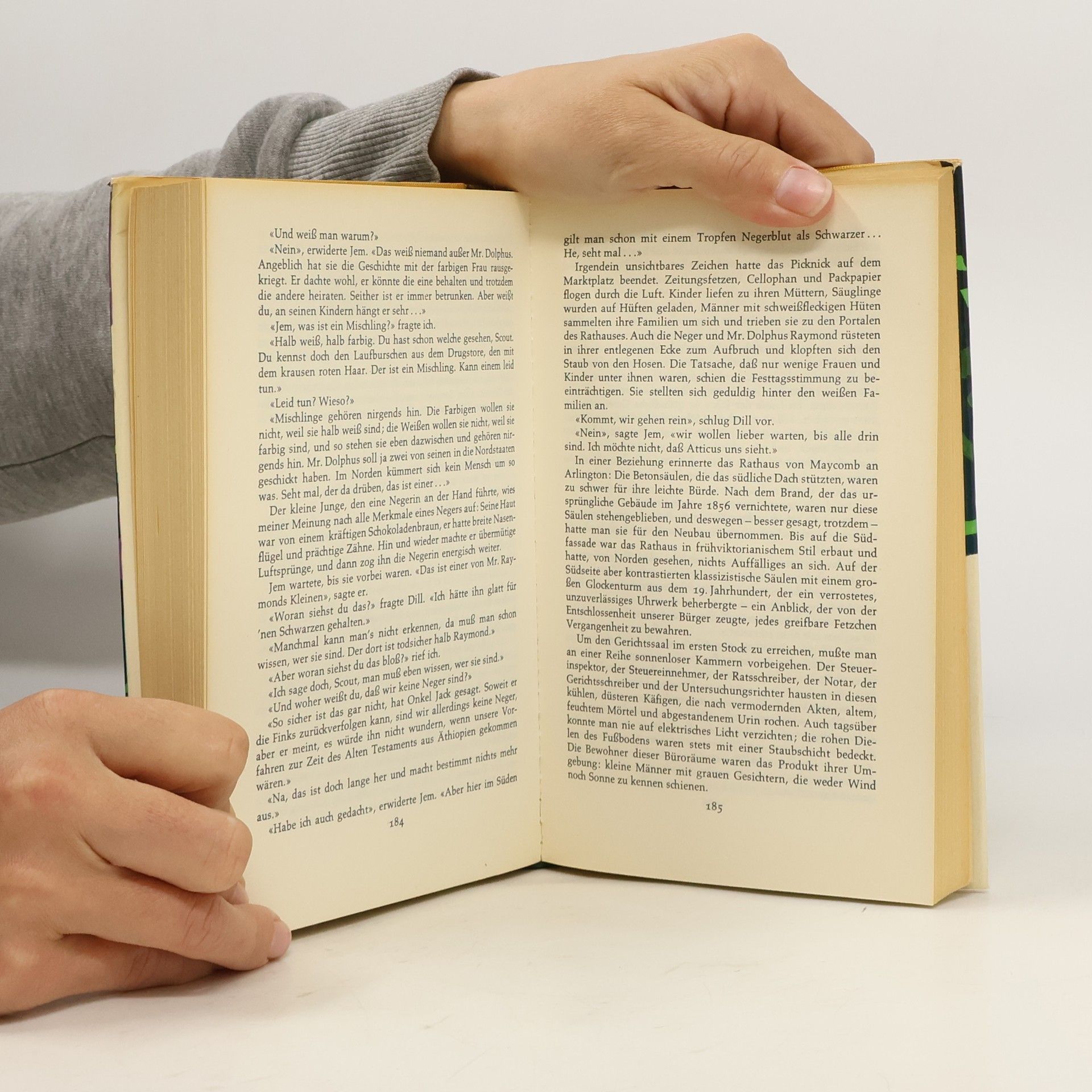 Harper Lee Wer die Nachtigall stört ...