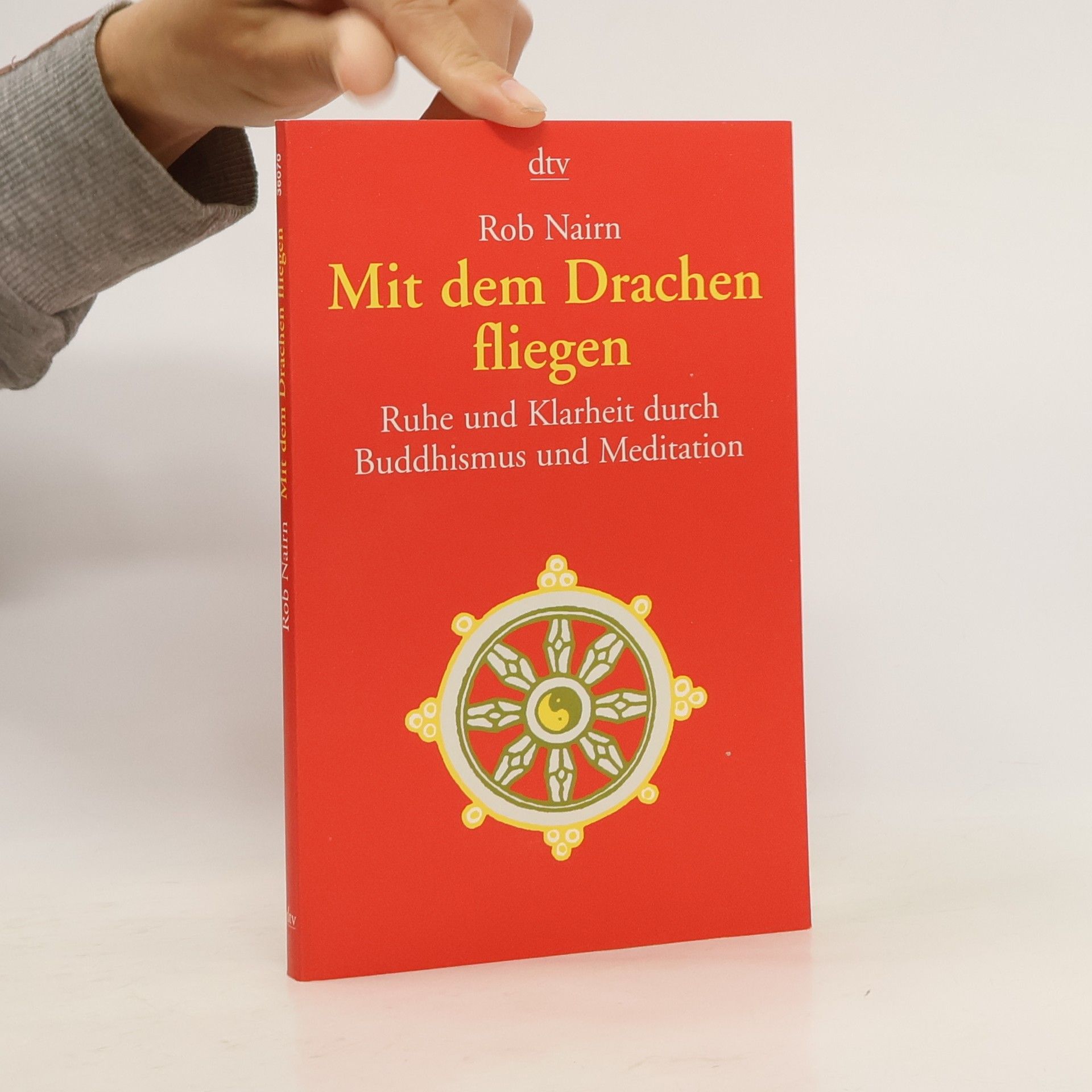 Rob Nairn Mit dem Drachen fliegen