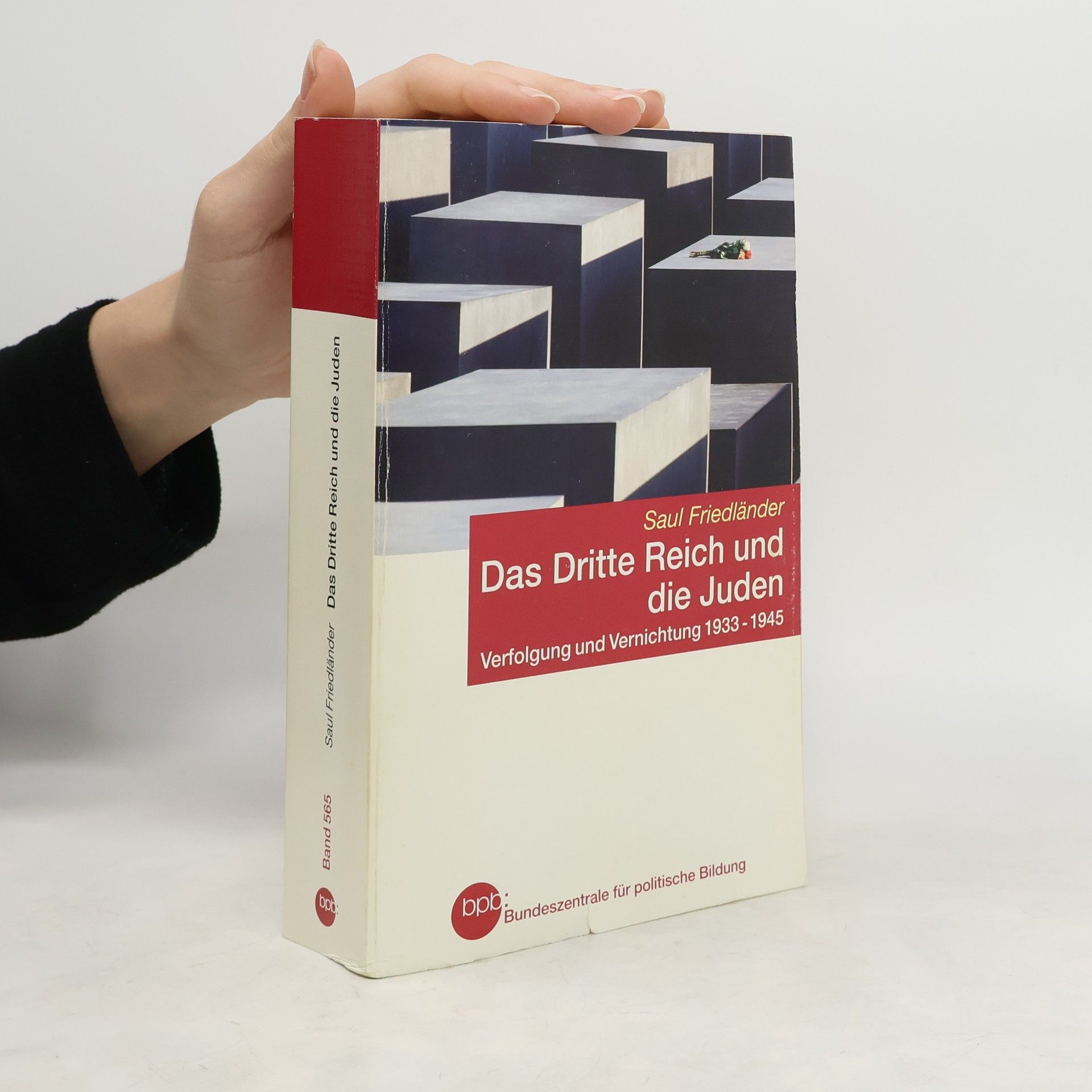 Saul Friedländer Das Dritte Reich und die Juden