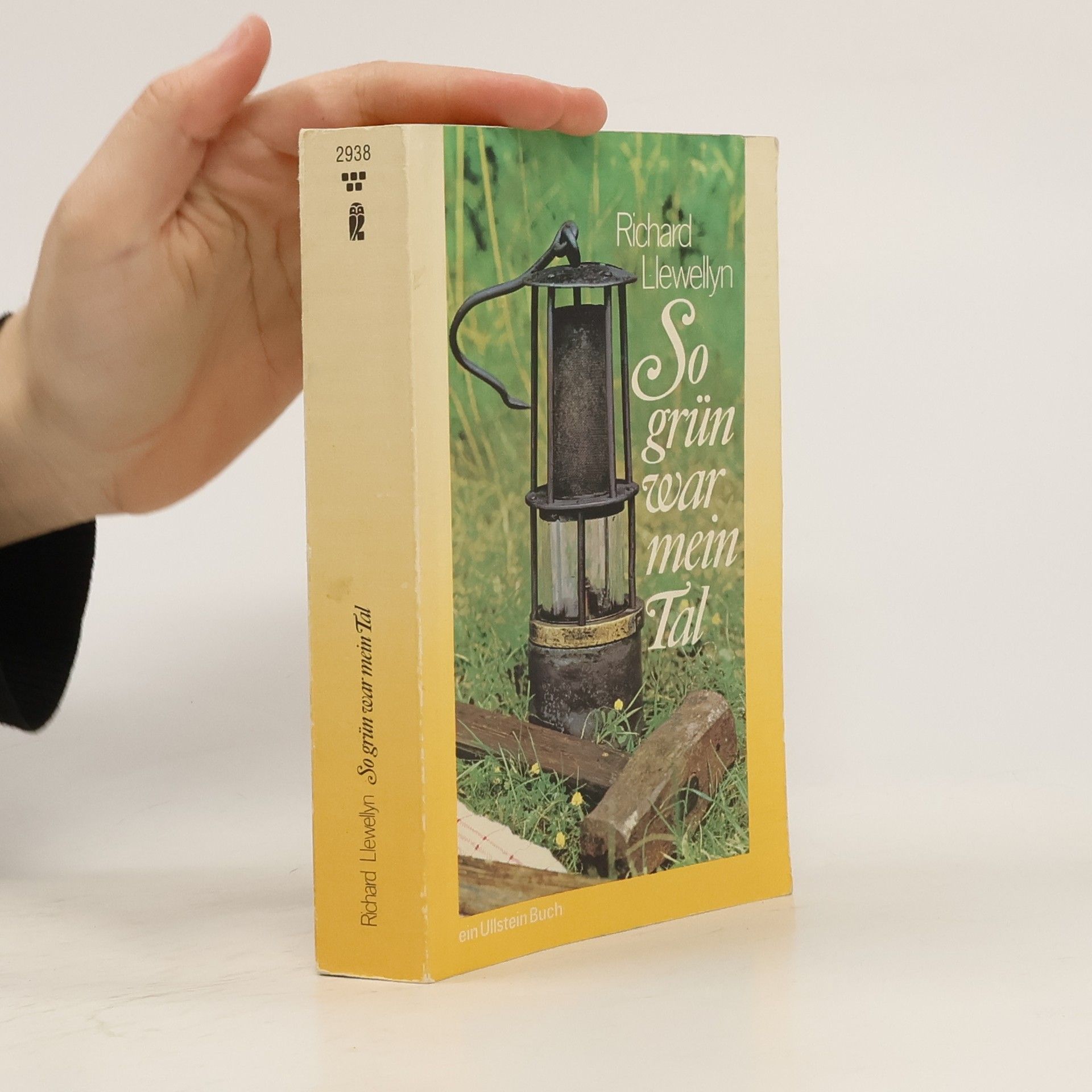 Richard Llewellyn So grün war mein Tal