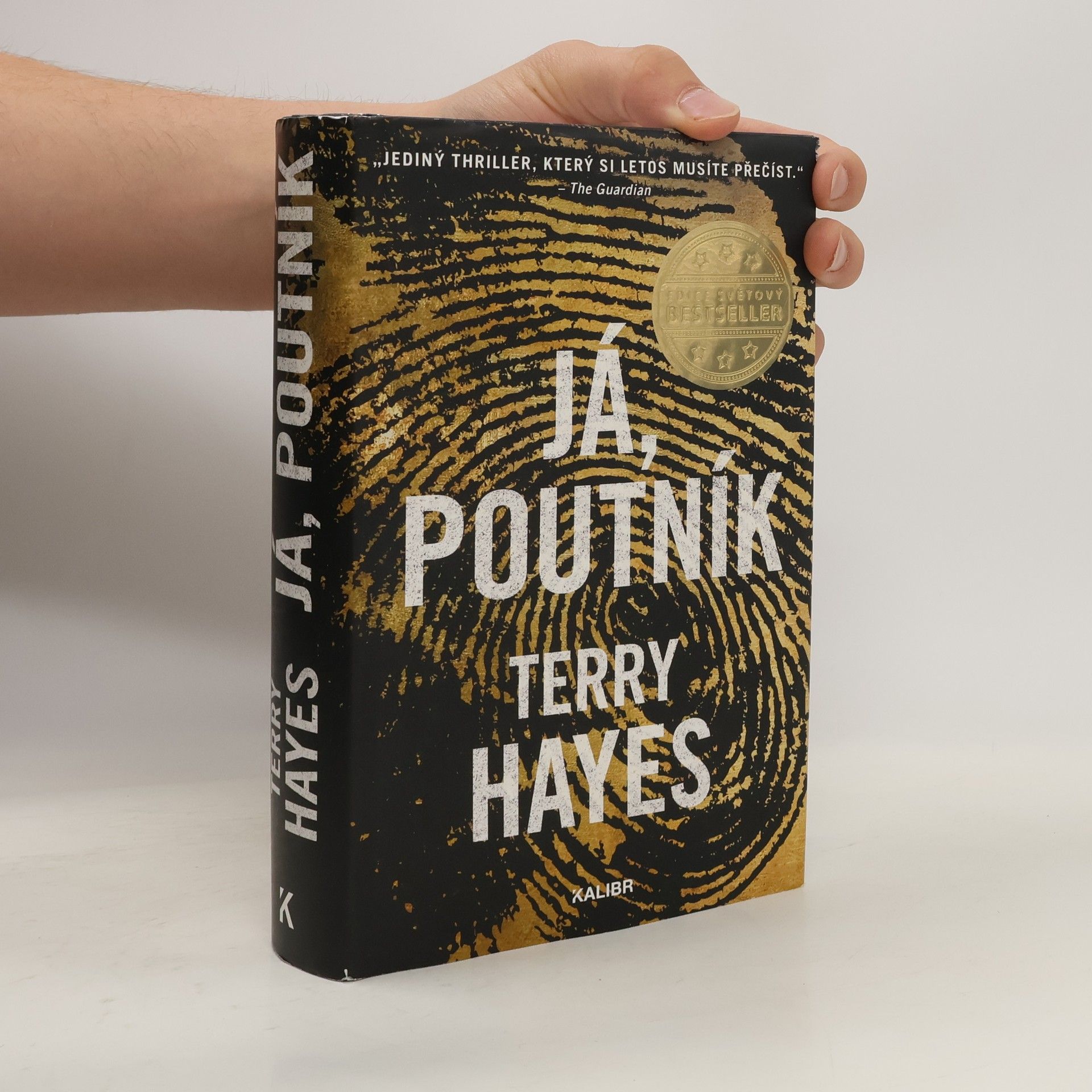 Terry Hayes Já, Poutník