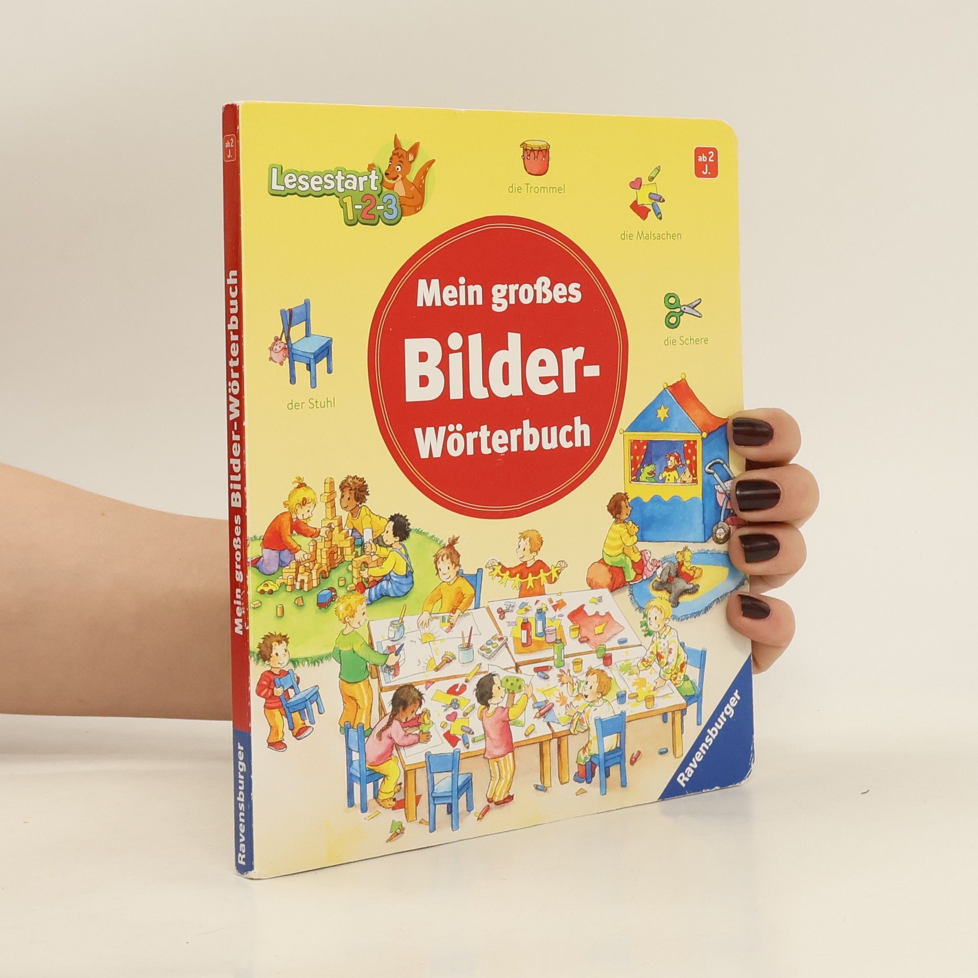 Autores varios Mein grosses Bilder-Wörterbuch