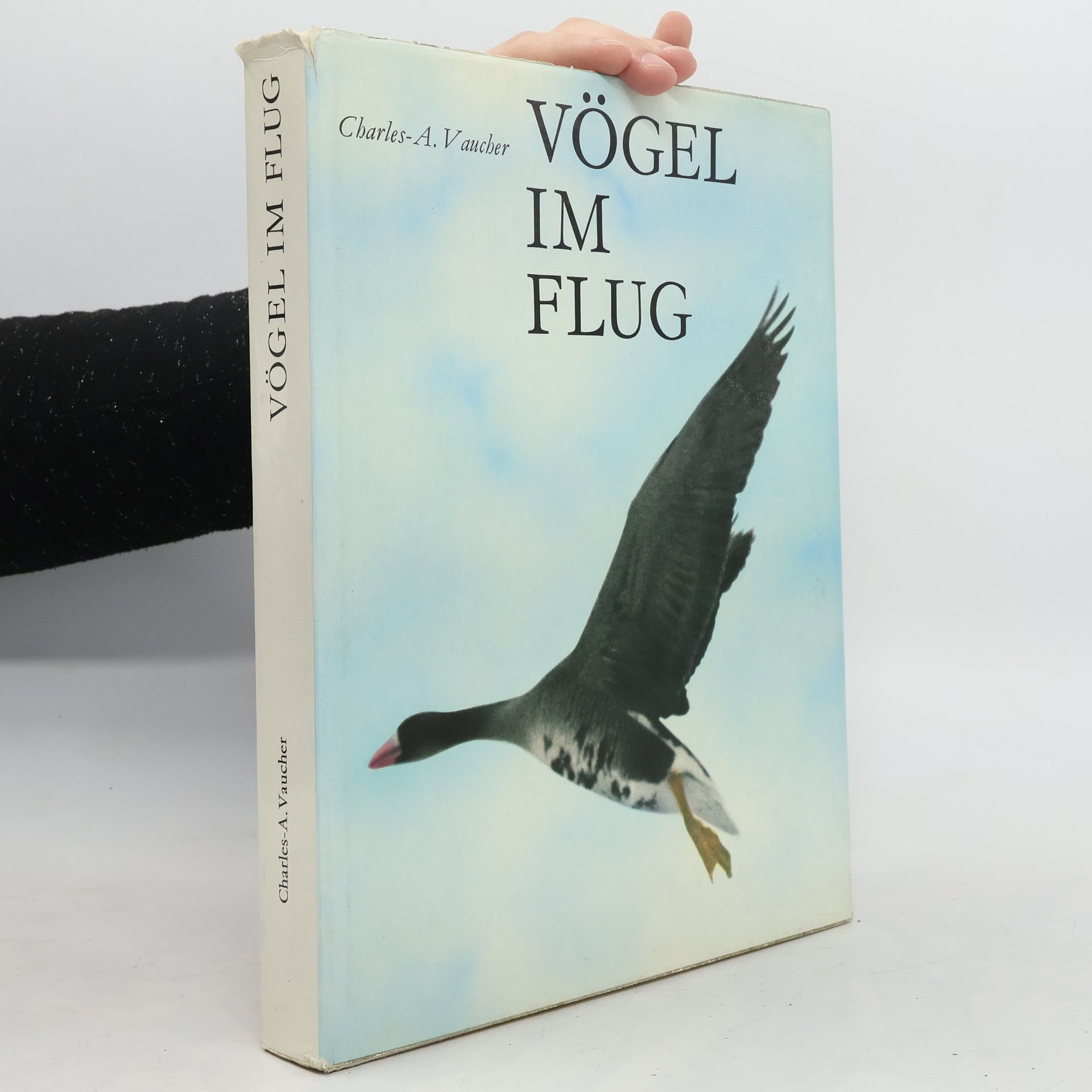 Charles-A. Vaucher Vögel im Flug
