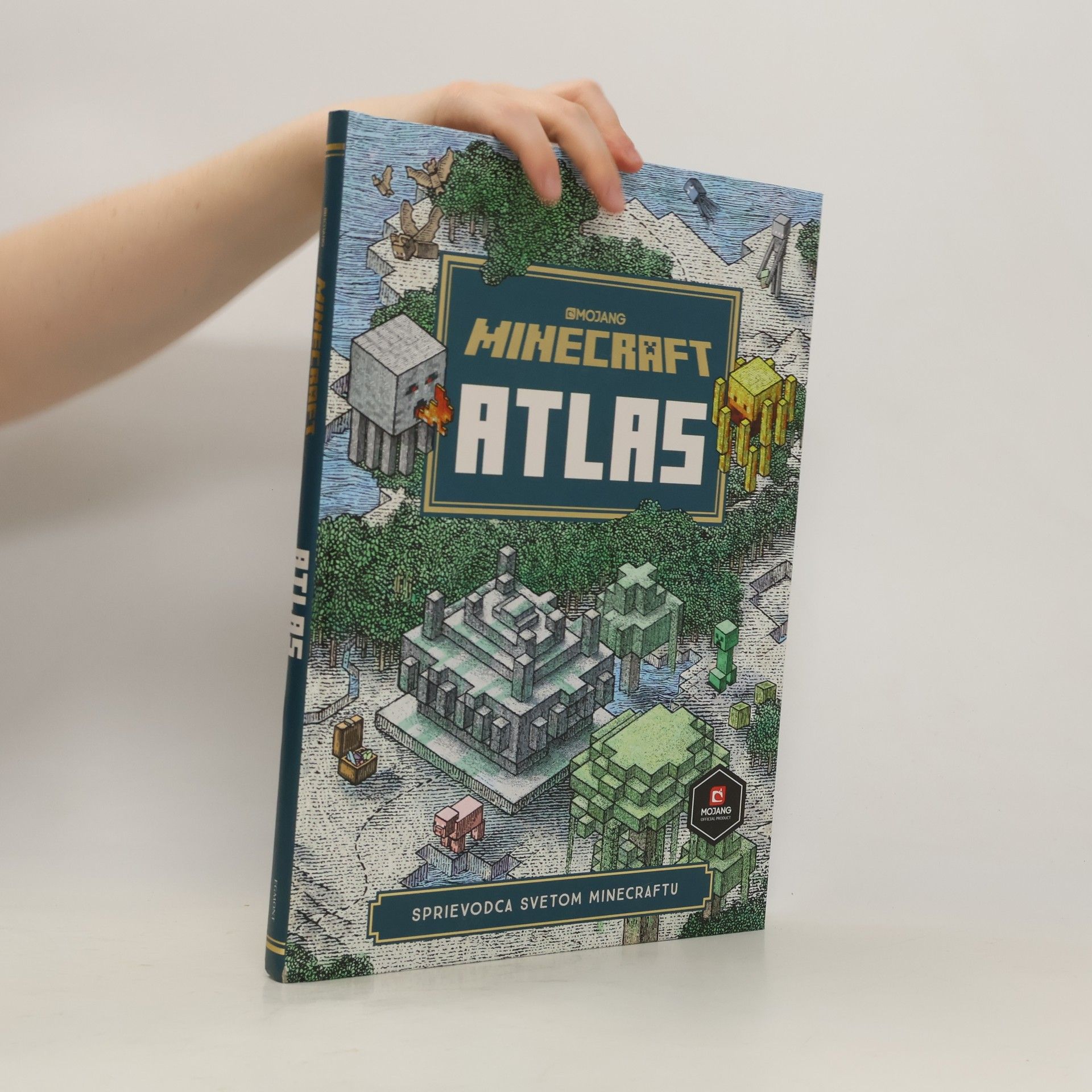 Stephanie Milton Minecraft atlas