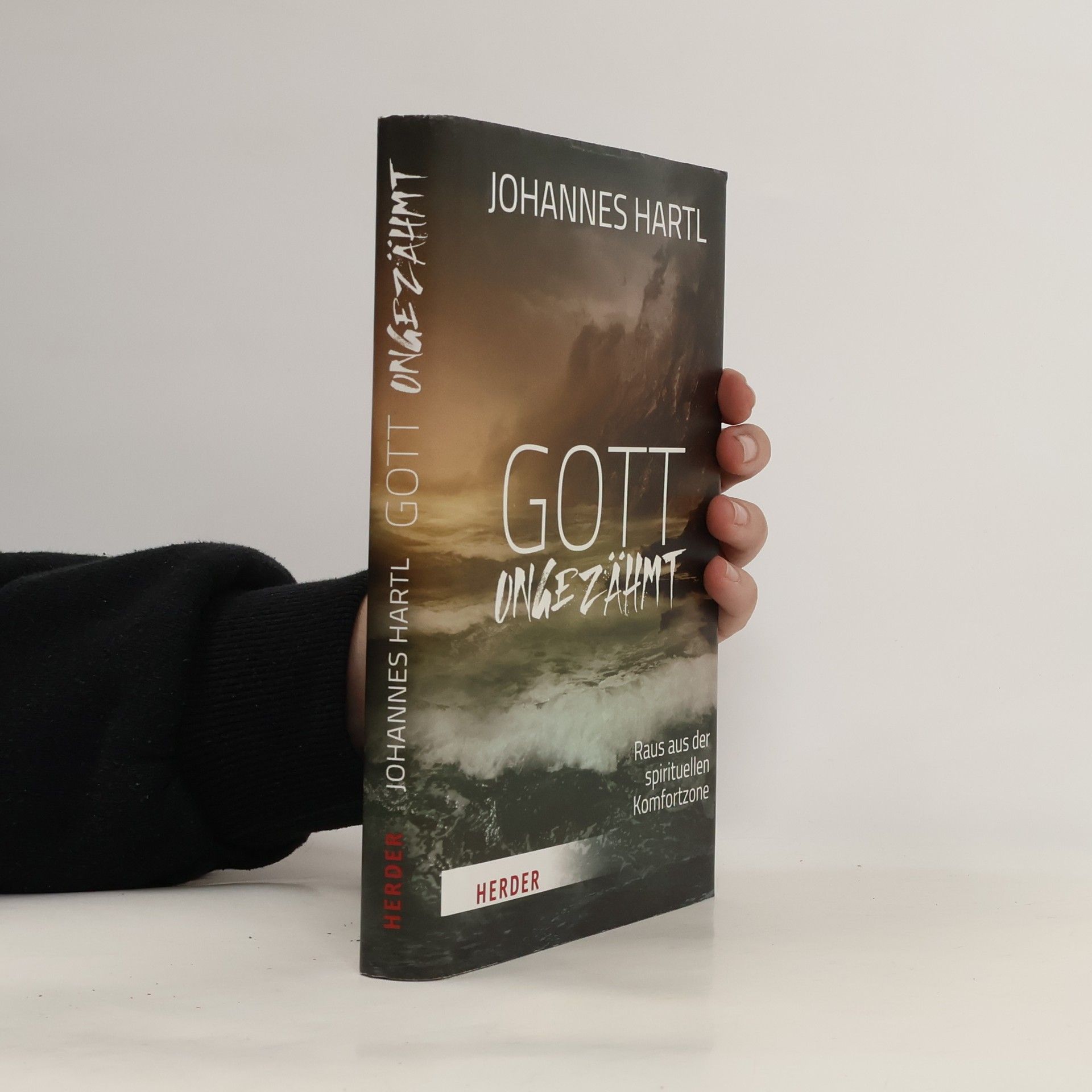Johannes Hartl Gott ungezähmt