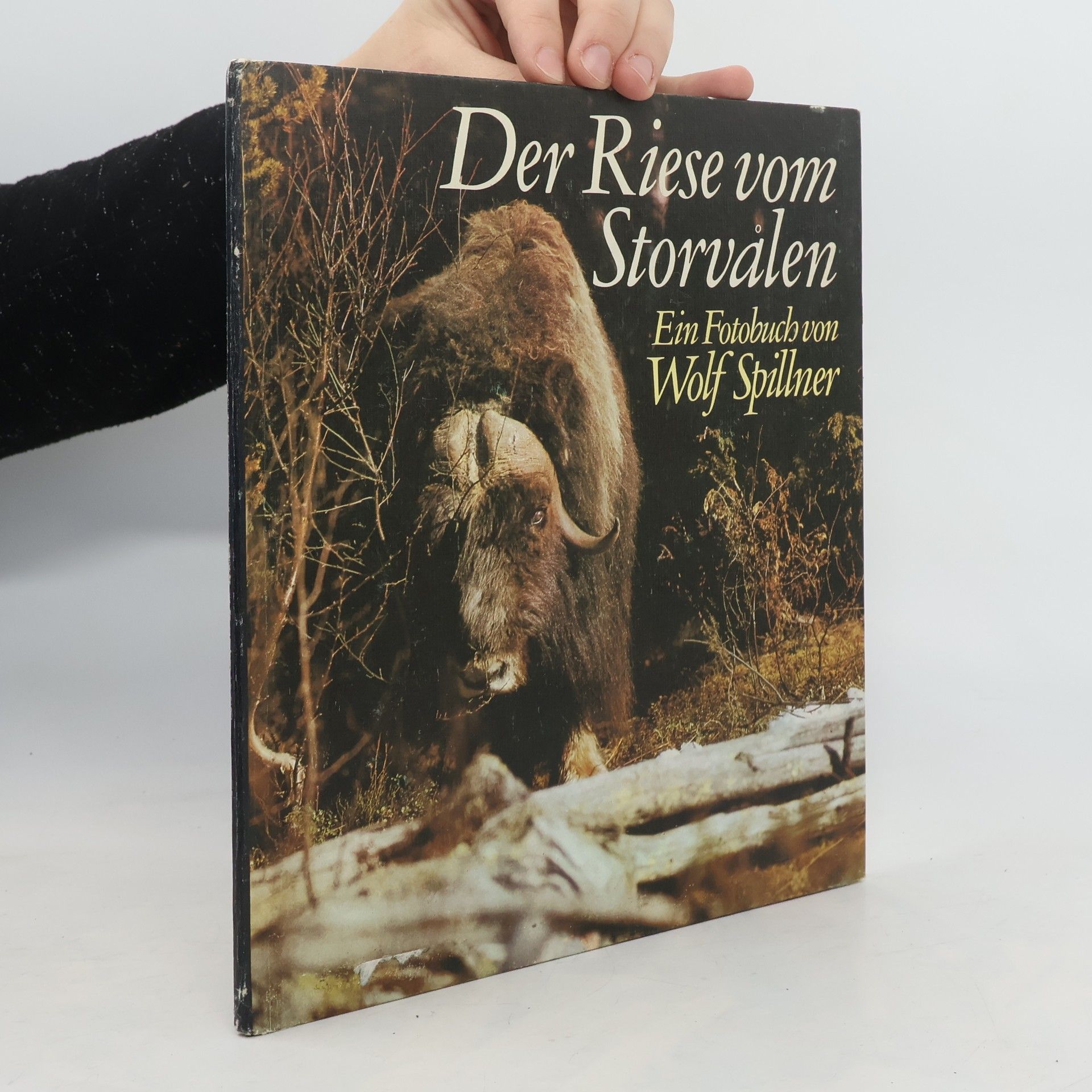 Wolf Spillner Der Riese vom Storvalen