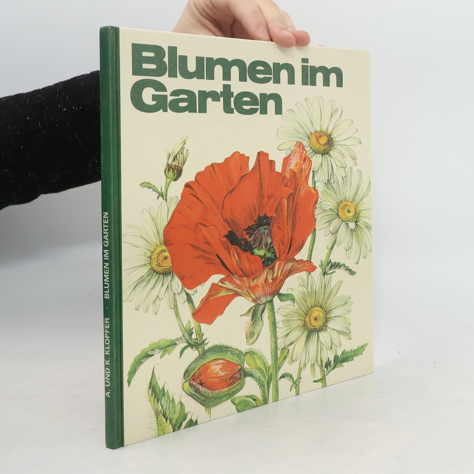 Annerose Klopfer Blumen im Garten