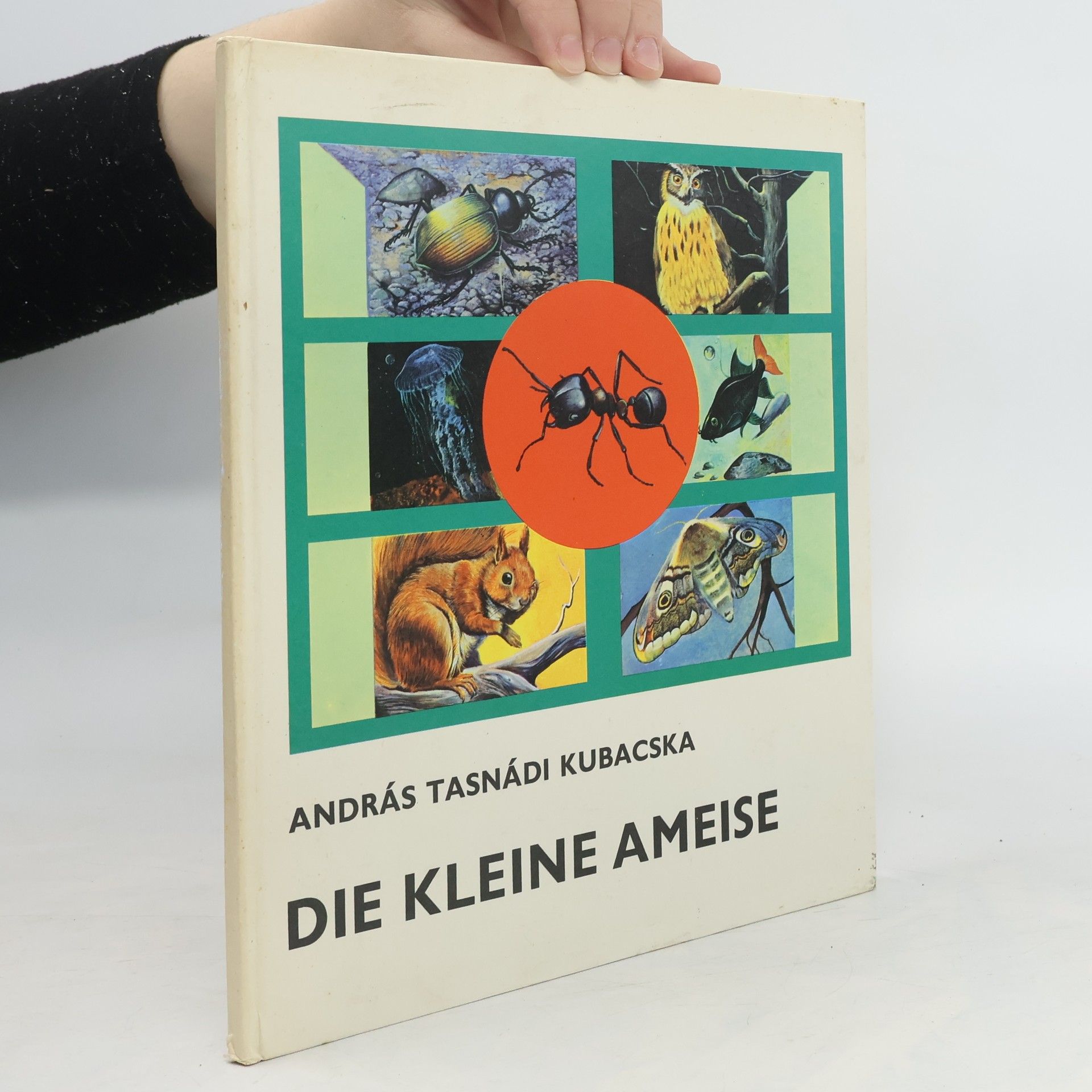 András Tasnádi Kubacska Die kleine ameise