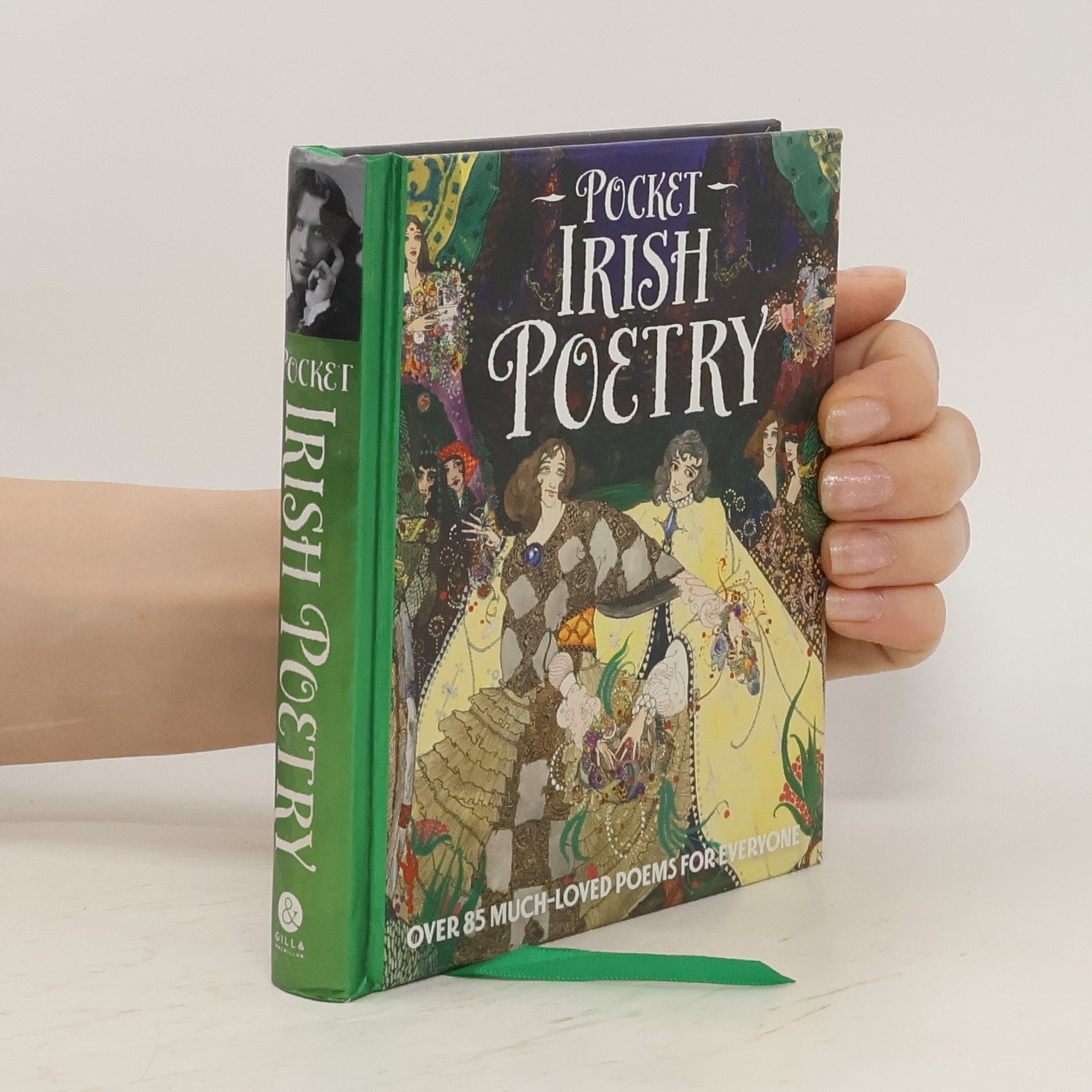 Fiona Biggs Pocket. Irish Poetry