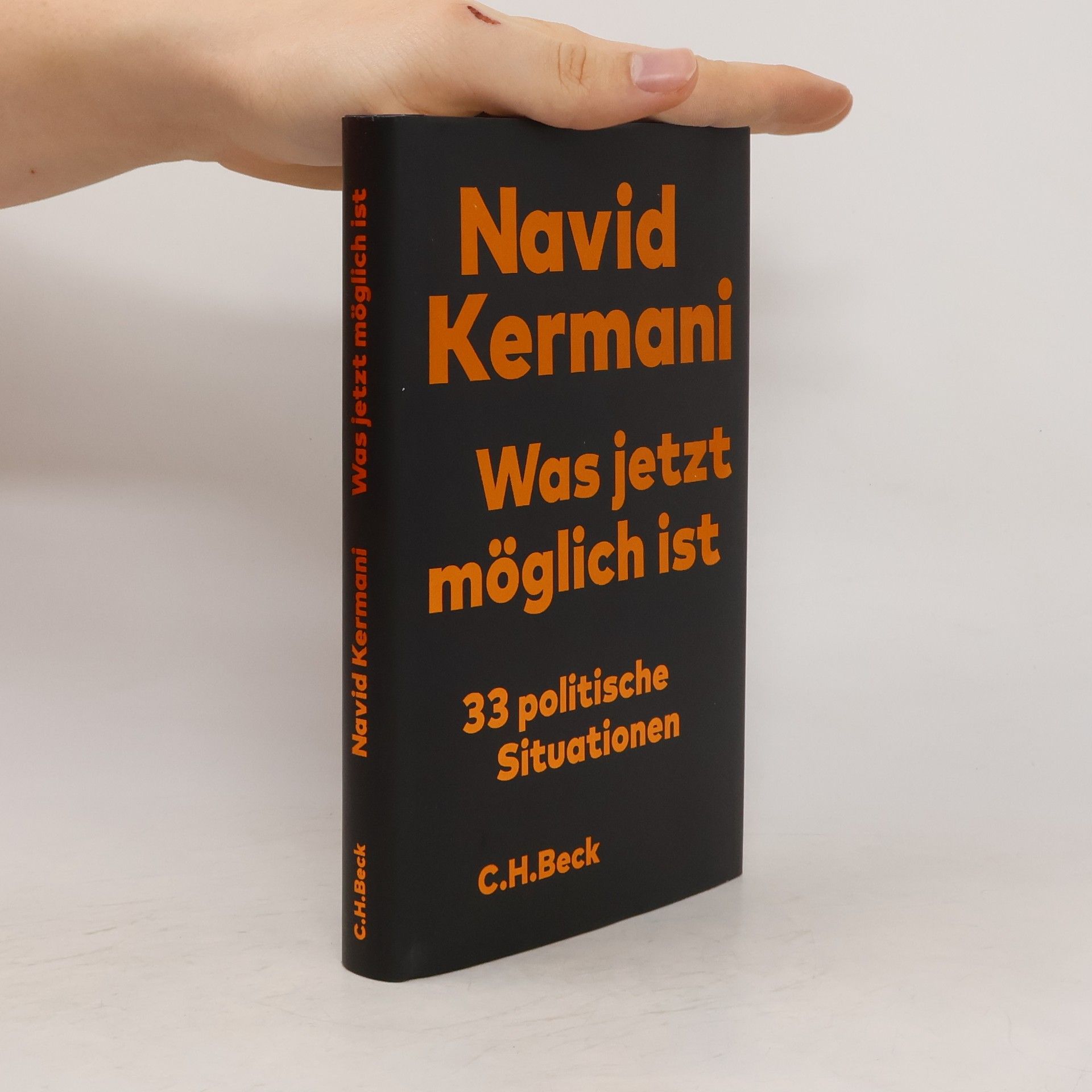 Navid Kermani Was jetzt möglich ist