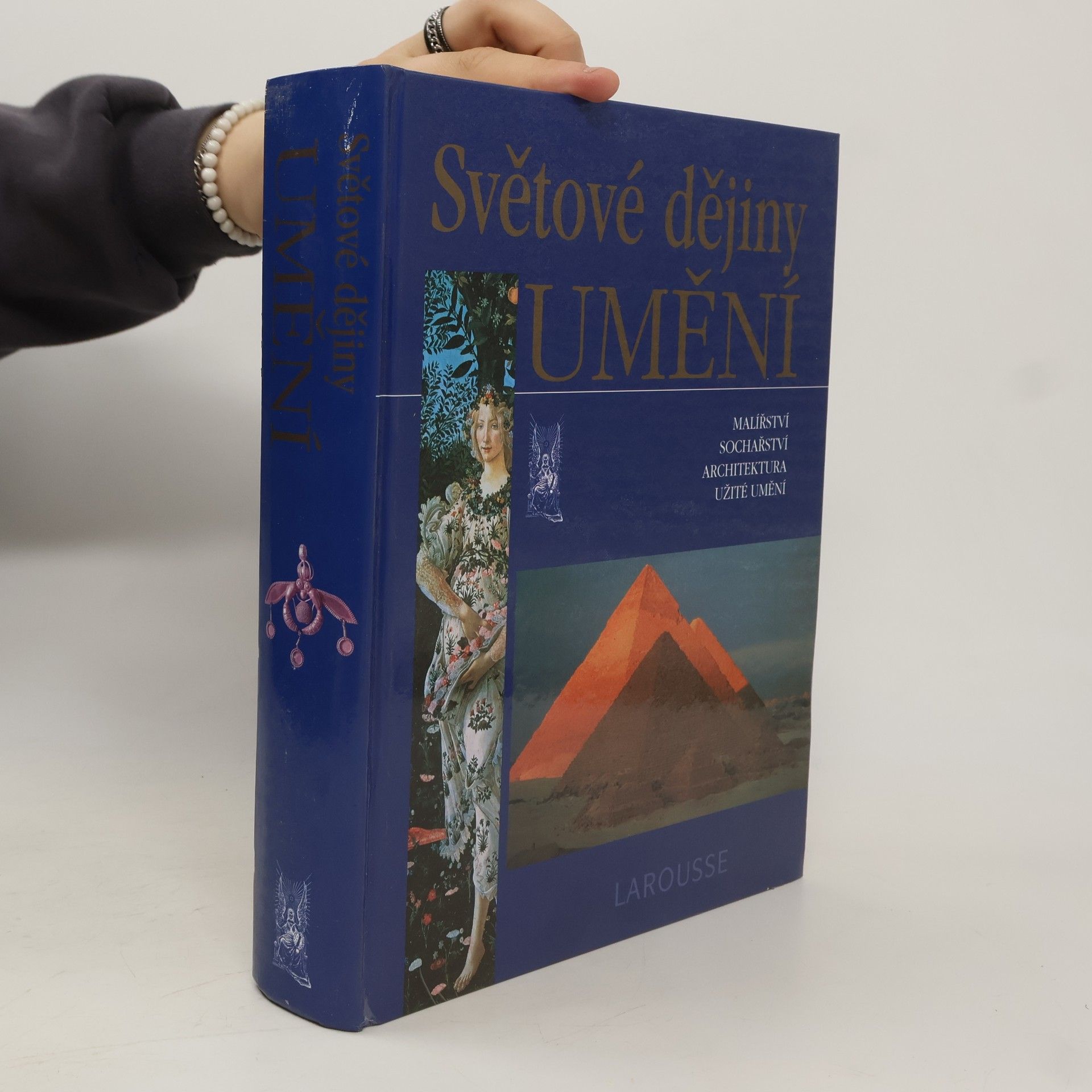 Albert Châtelet Světové dějiny umění : malířství, sochařství, architektura, užité umění
