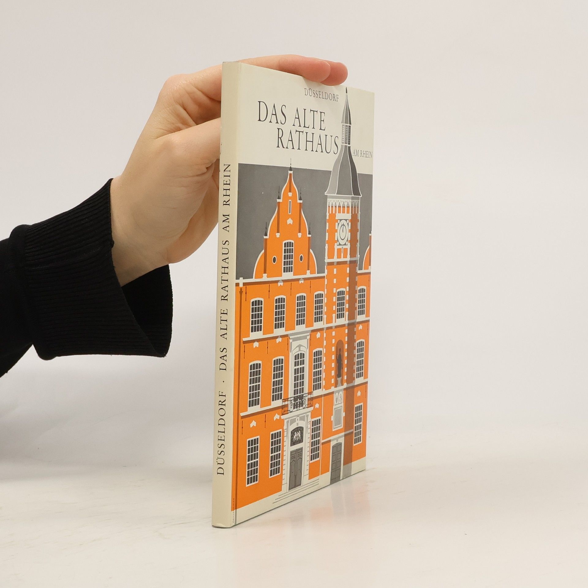Kolektiv autorů Das alte Rathaus am Rhein