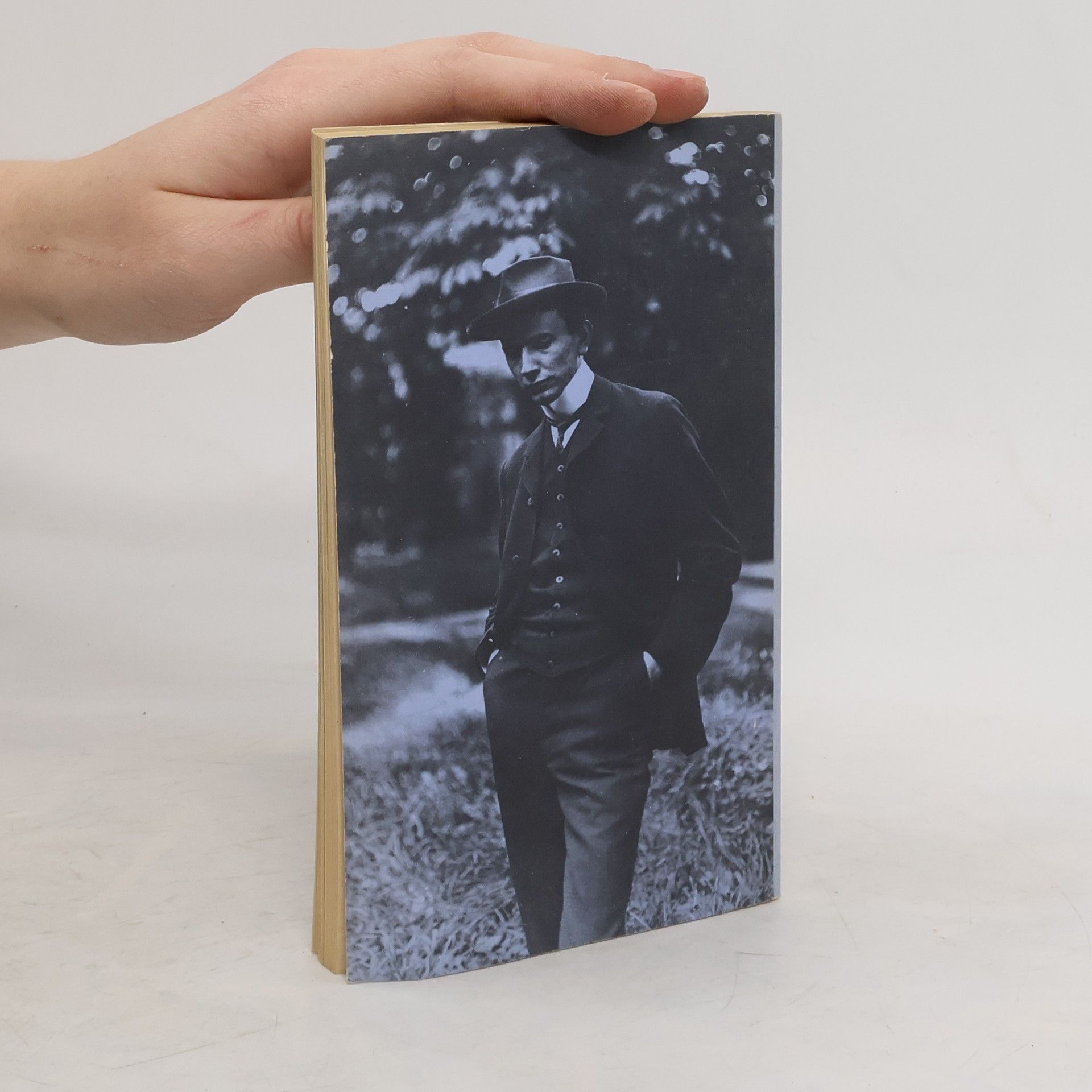 Hans Saner Karl Jaspers