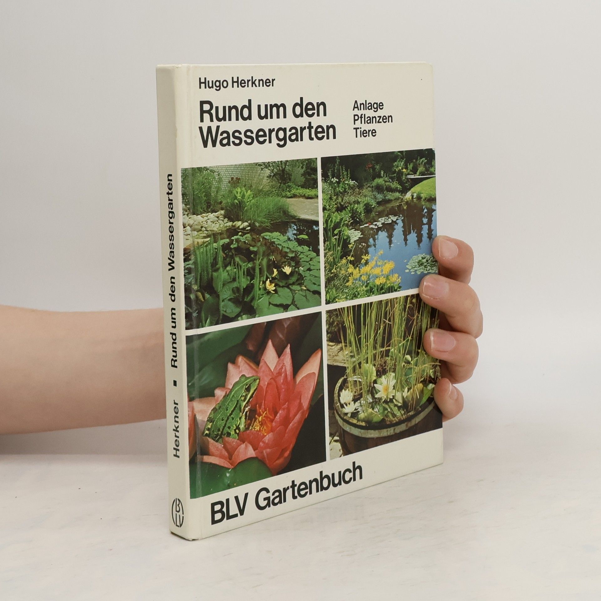 Hugo Herkner Rund um den Wassergarten