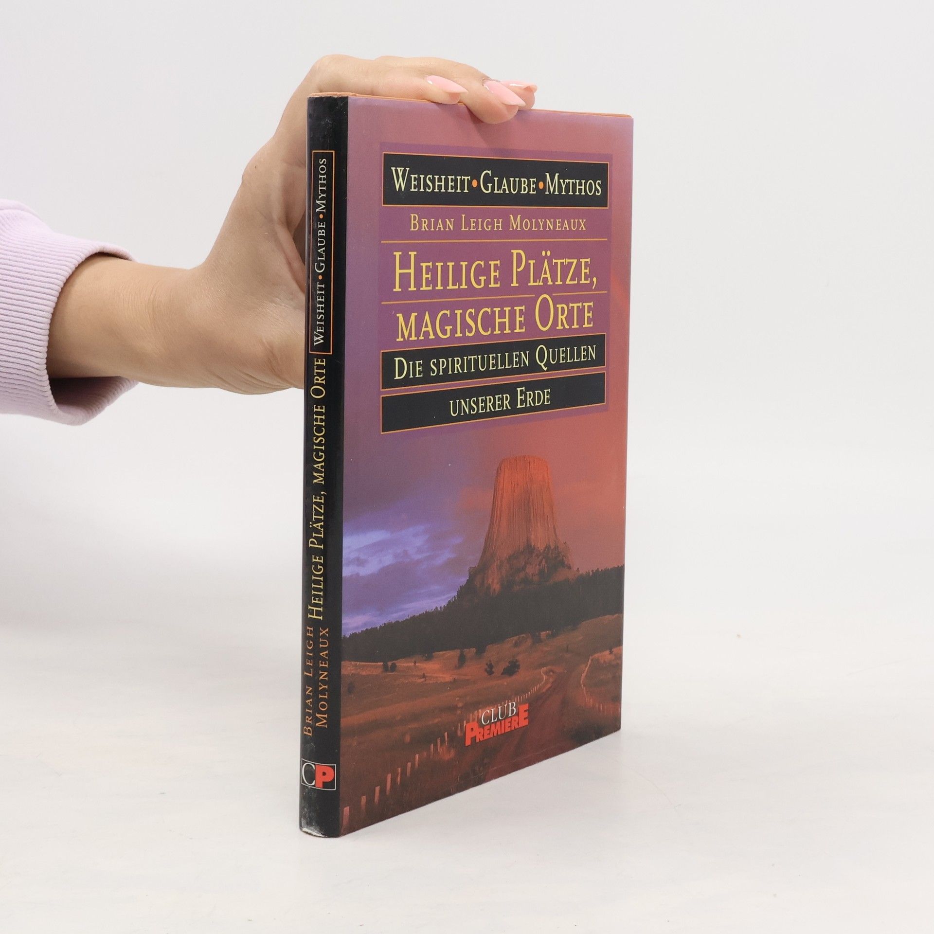 Brian Leigh Molyneaux Heilige Plätze, magische Orte. Die spirituellen Quellen. Unserer Erde