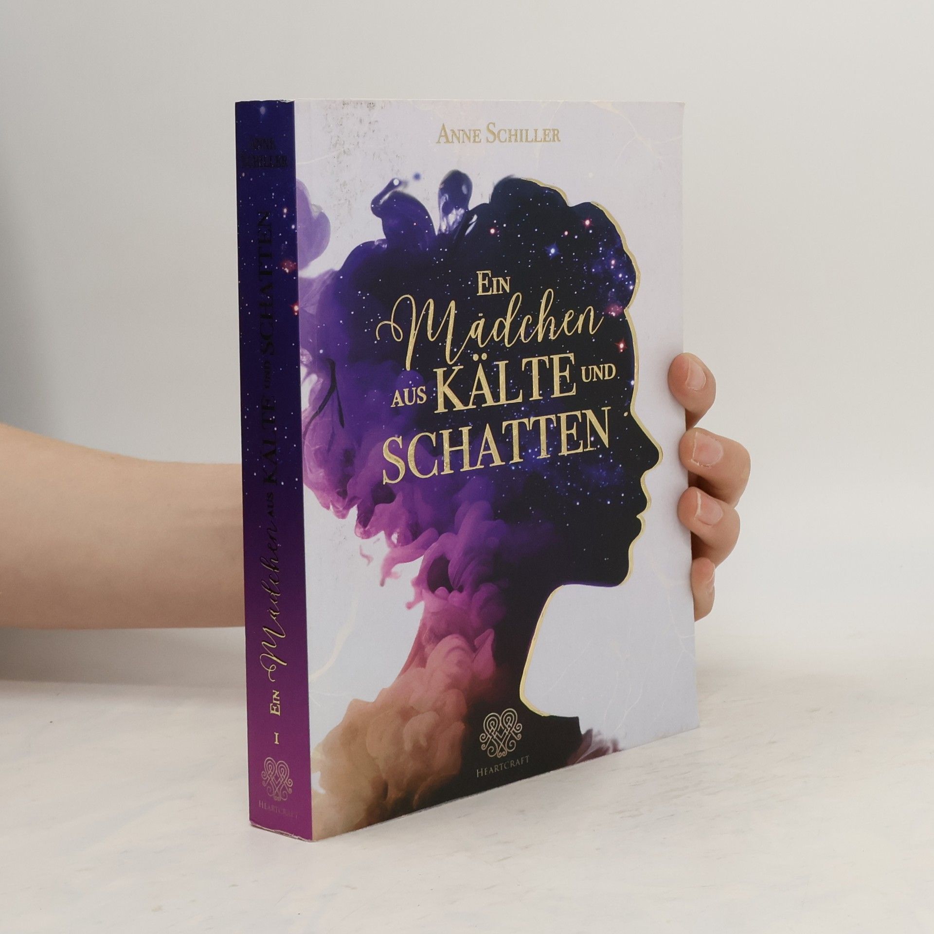 Anne L. Schiller Ein Mädchen aus Kälte und Schatten