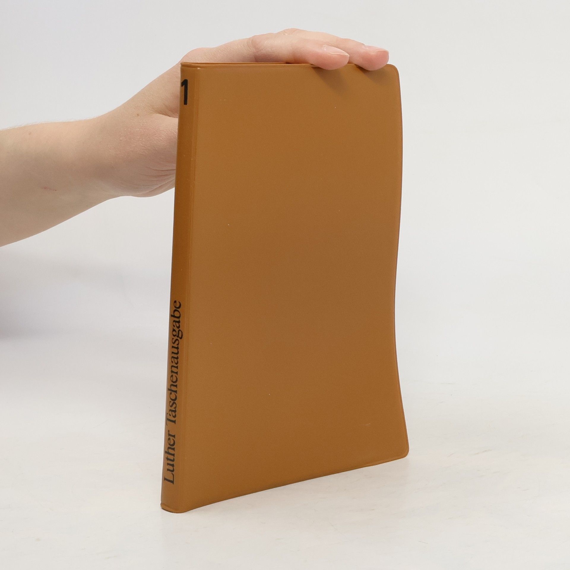 Martin Luther King Jr. Die Botschaft des Kreuzes 1