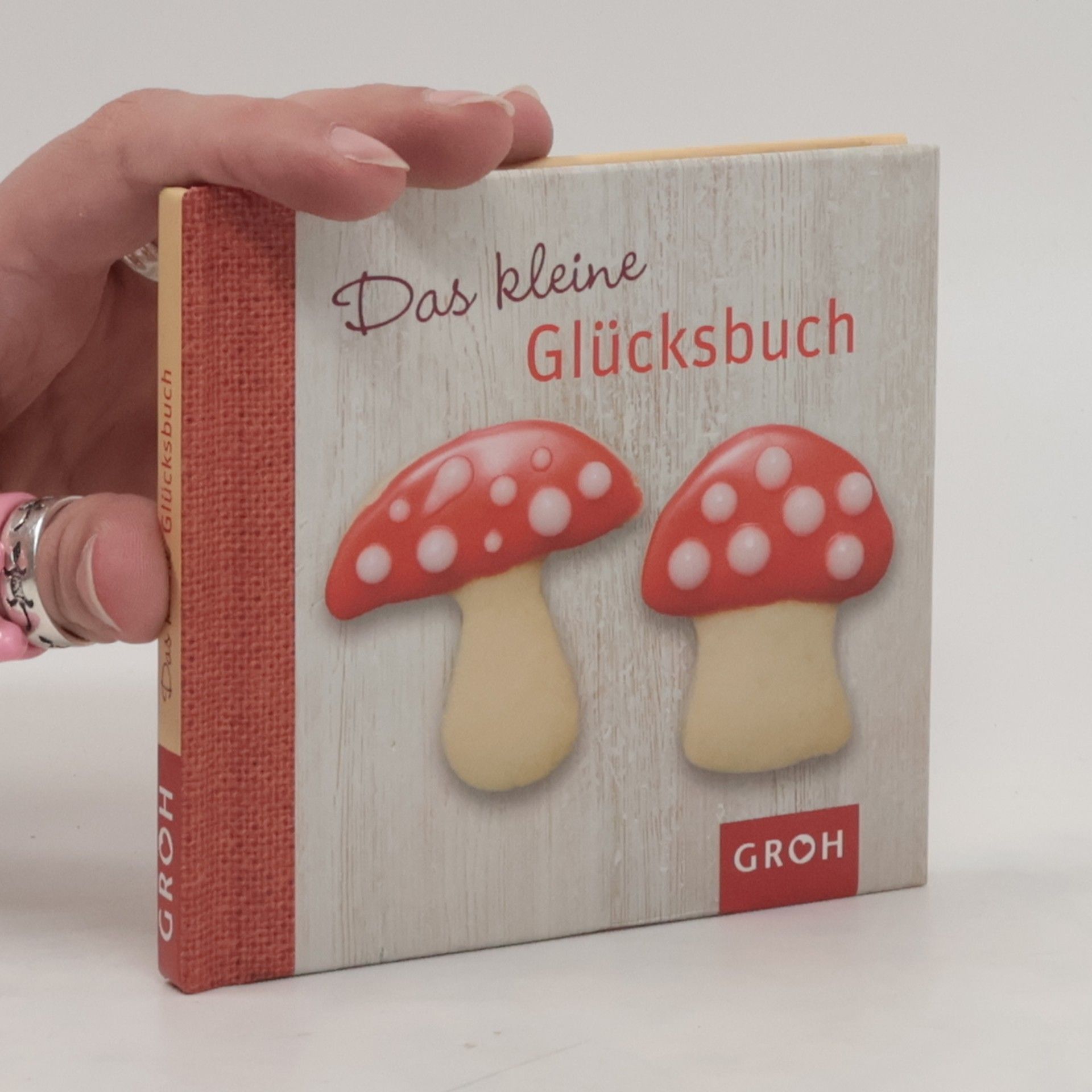 Celeste Marin Das kleine Glücksbuch