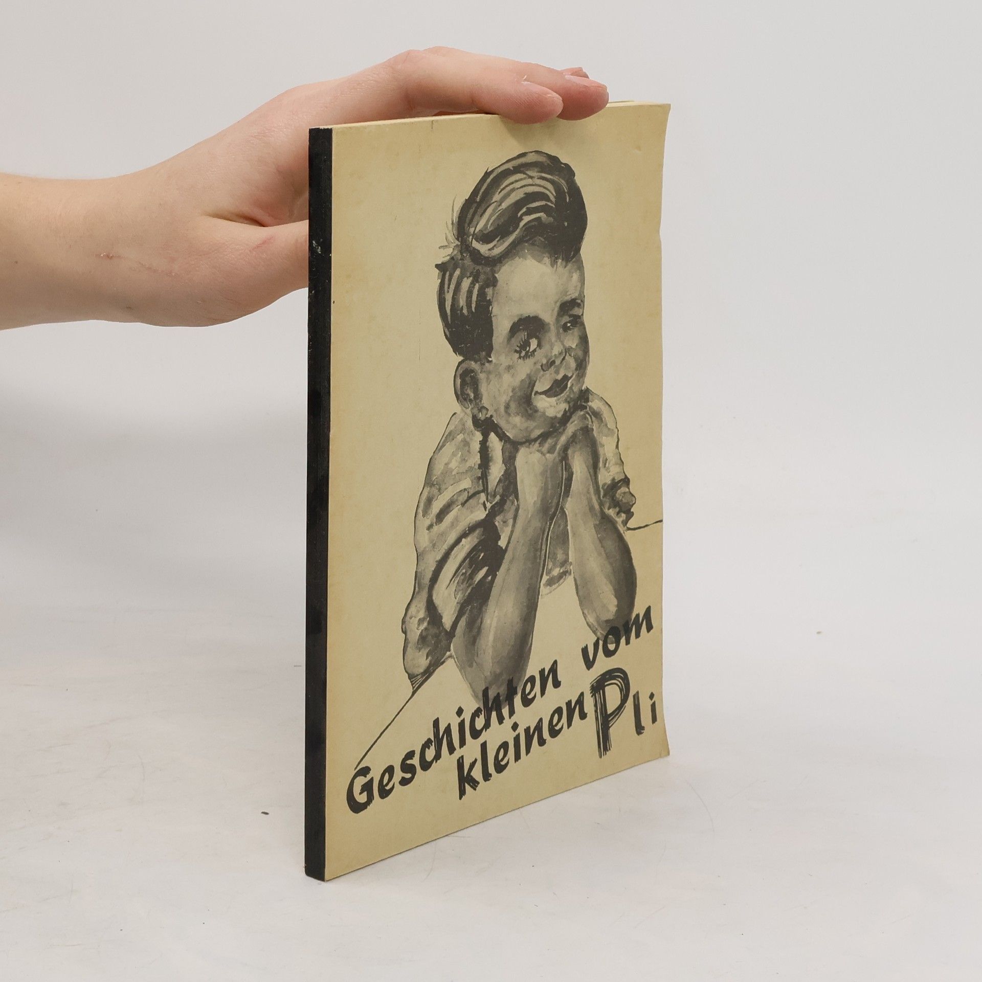 Collectif d'auteurs Geschichten vom kleinen Pli