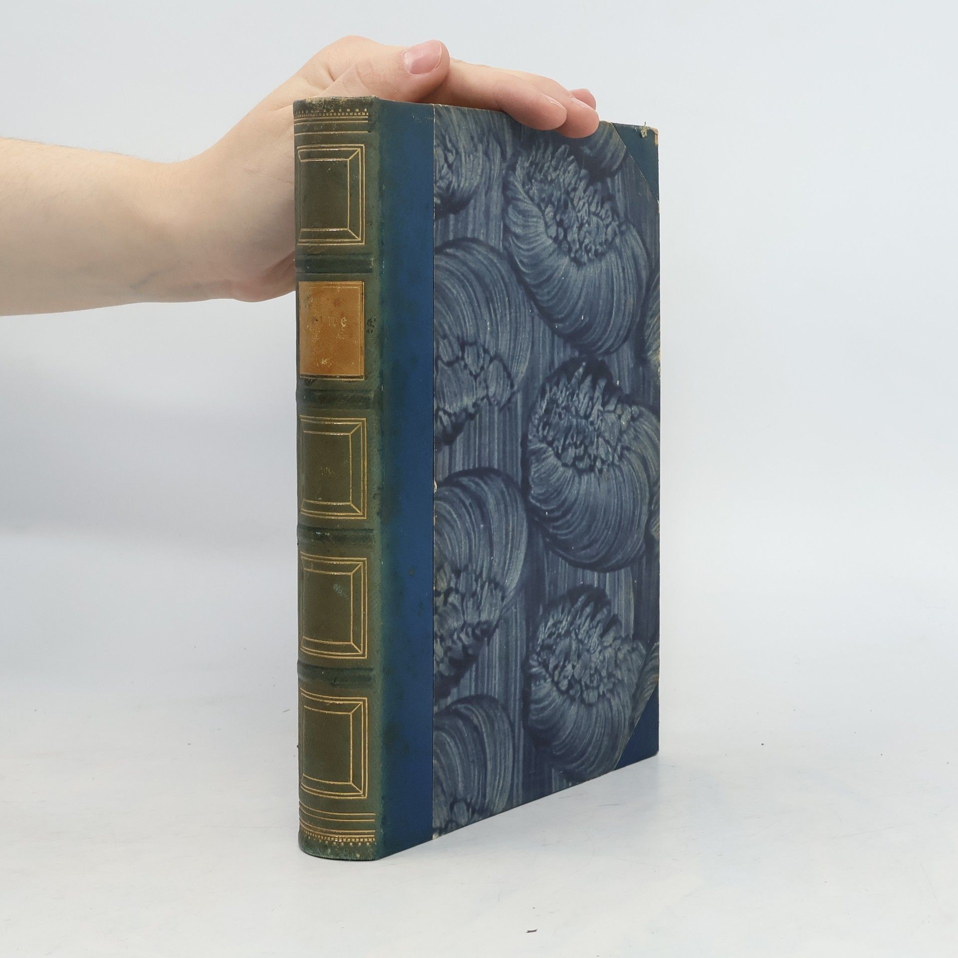 Heinrich Heine Heinrich Heine. Sämtliche Werke 9