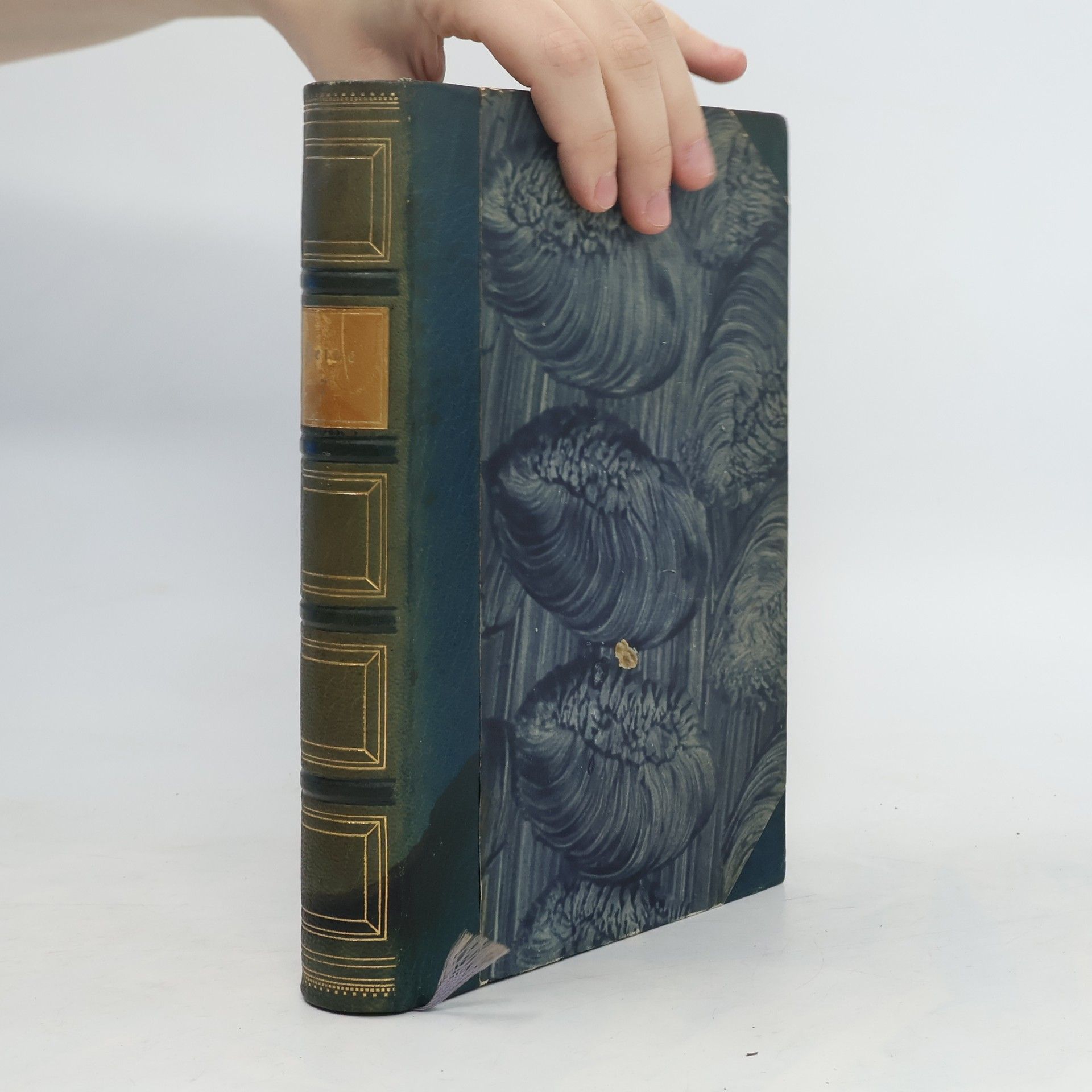 Heinrich Heine Heinrich Heine. Sämtliche Werke 7