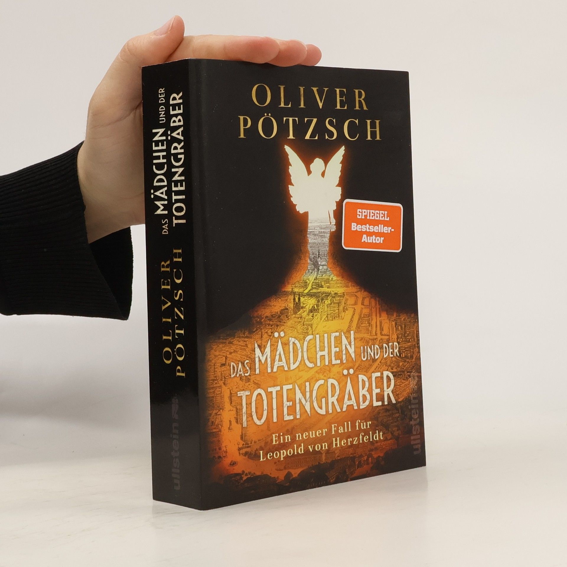 Oliver Pötzsch Das Mädchen und der Totengräber