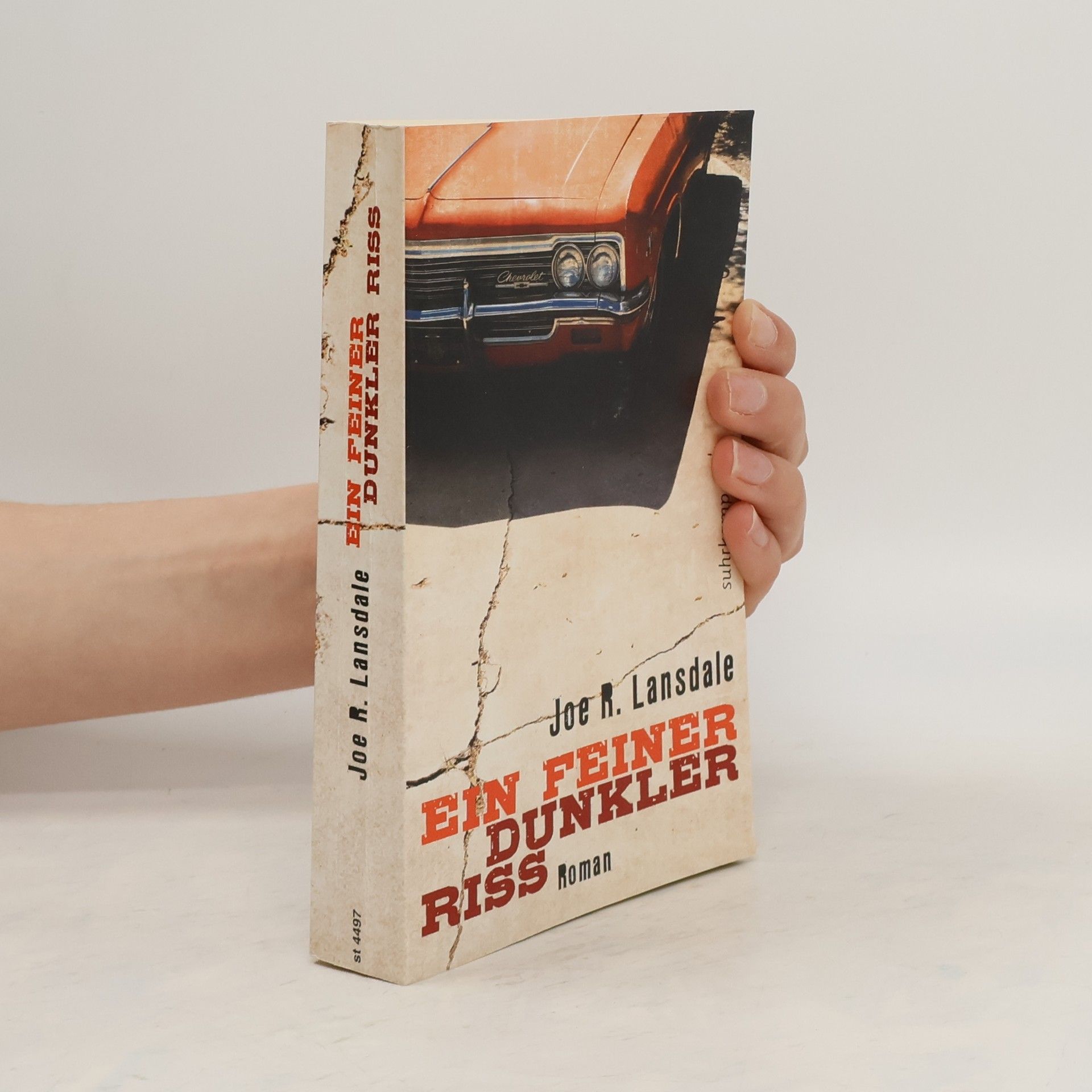 Joe R. Lansdale Ein feiner dunkler Riss