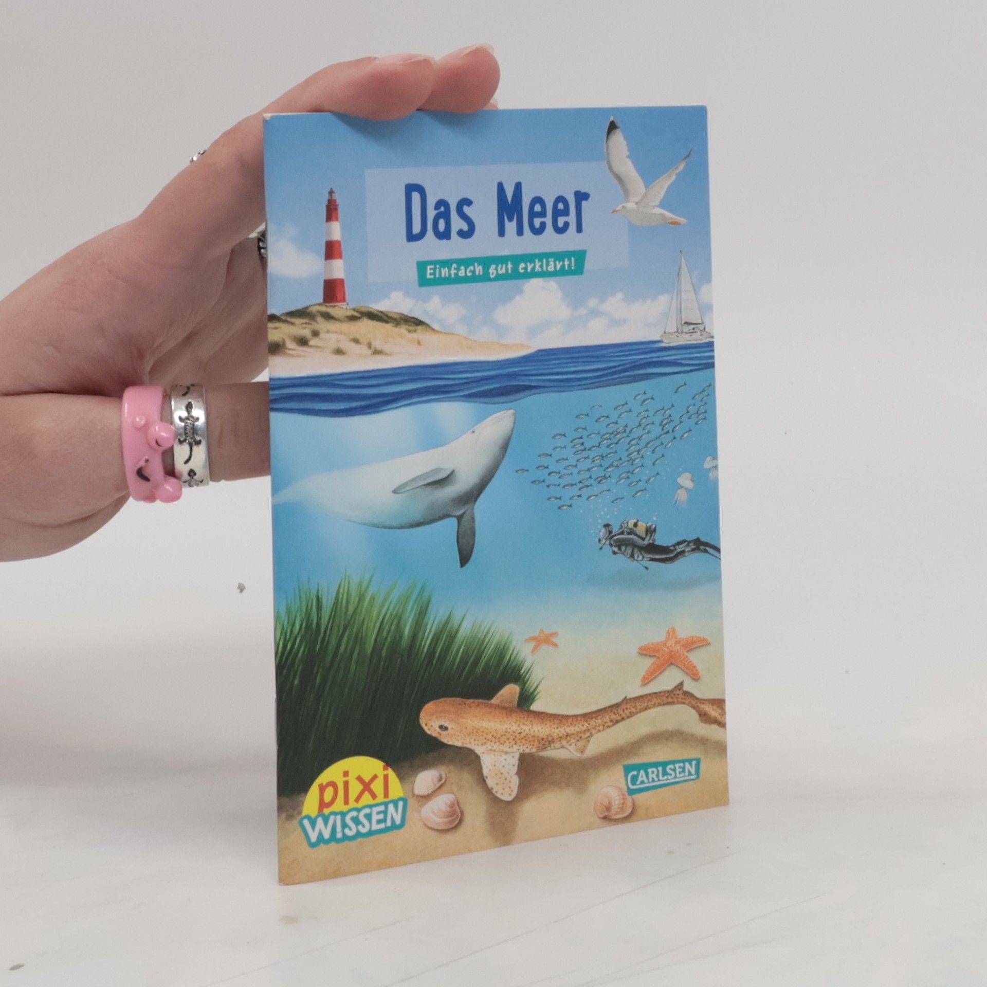 Brigitte Hoffmann Das Meer
