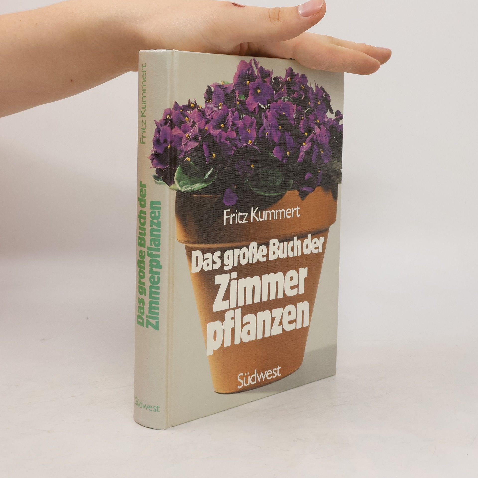 Autorenkollektiv Das große Buch der Zimmerpflanzen