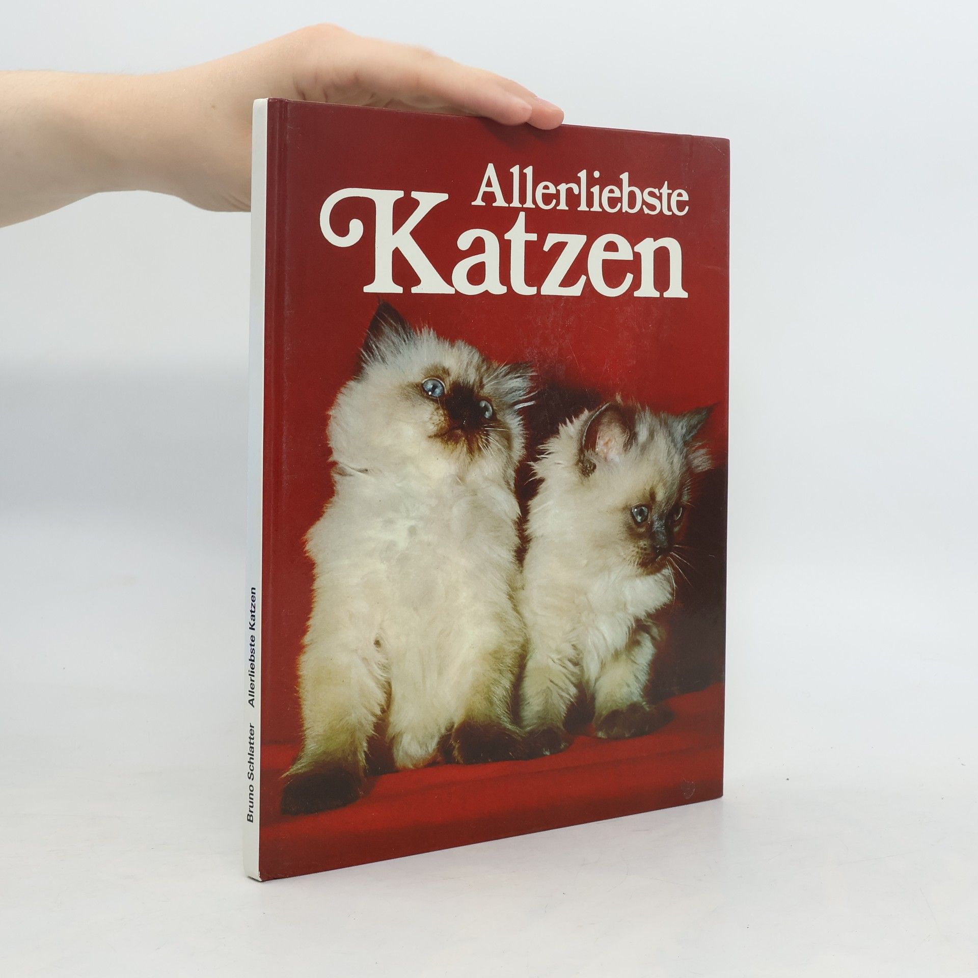 Bruno Schlatter Allerliebste Katzen