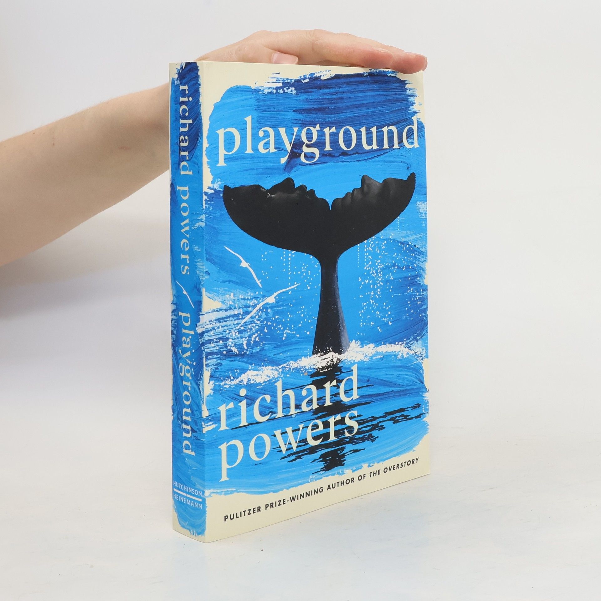 Richard Powers Playground