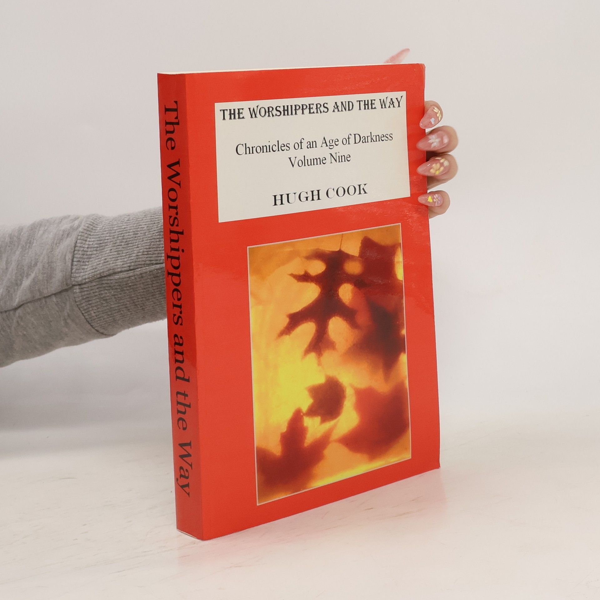Hugh Cook The Worshippers and the Way