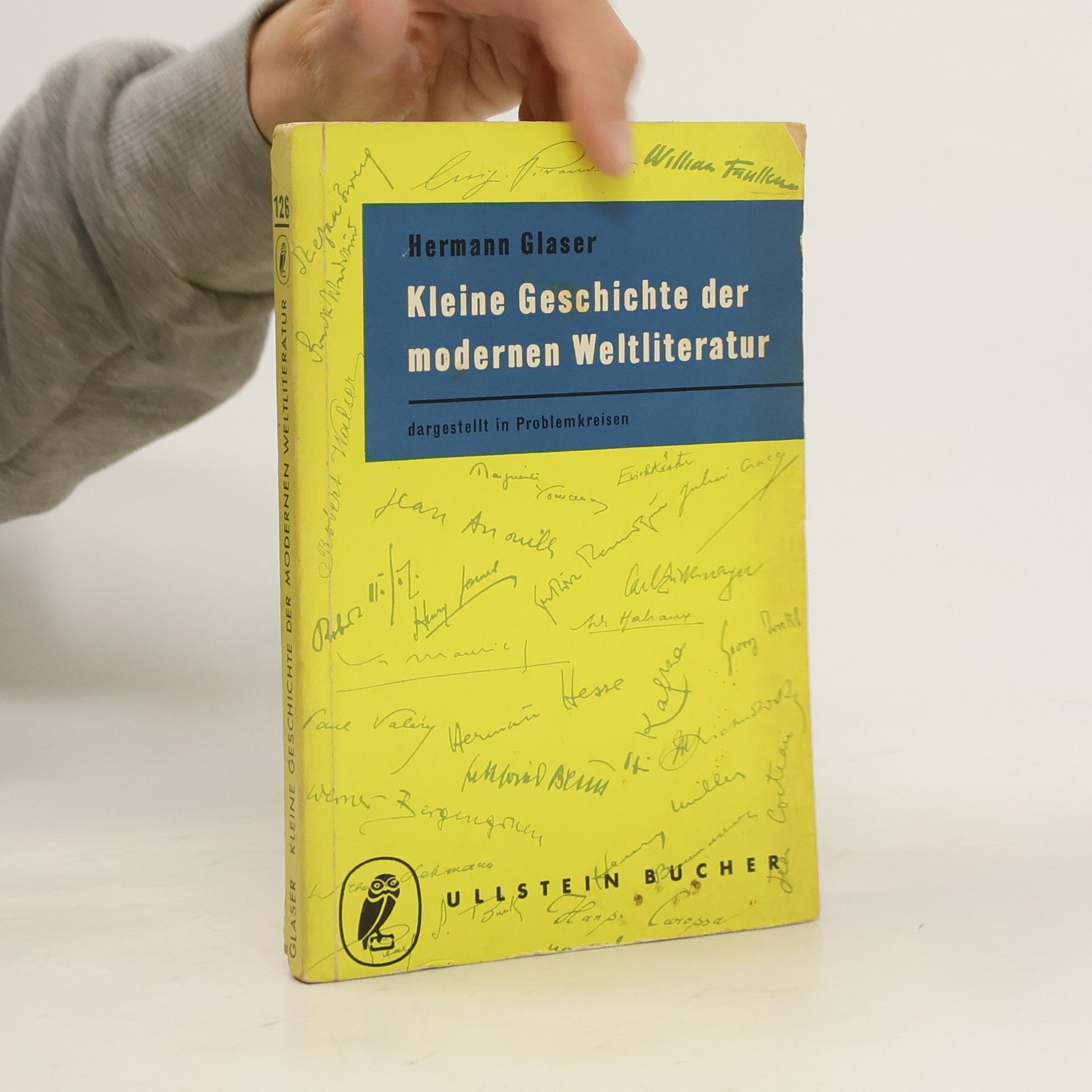 Hermann Glaser Kleine Geschichte der modernen Weltliteratur