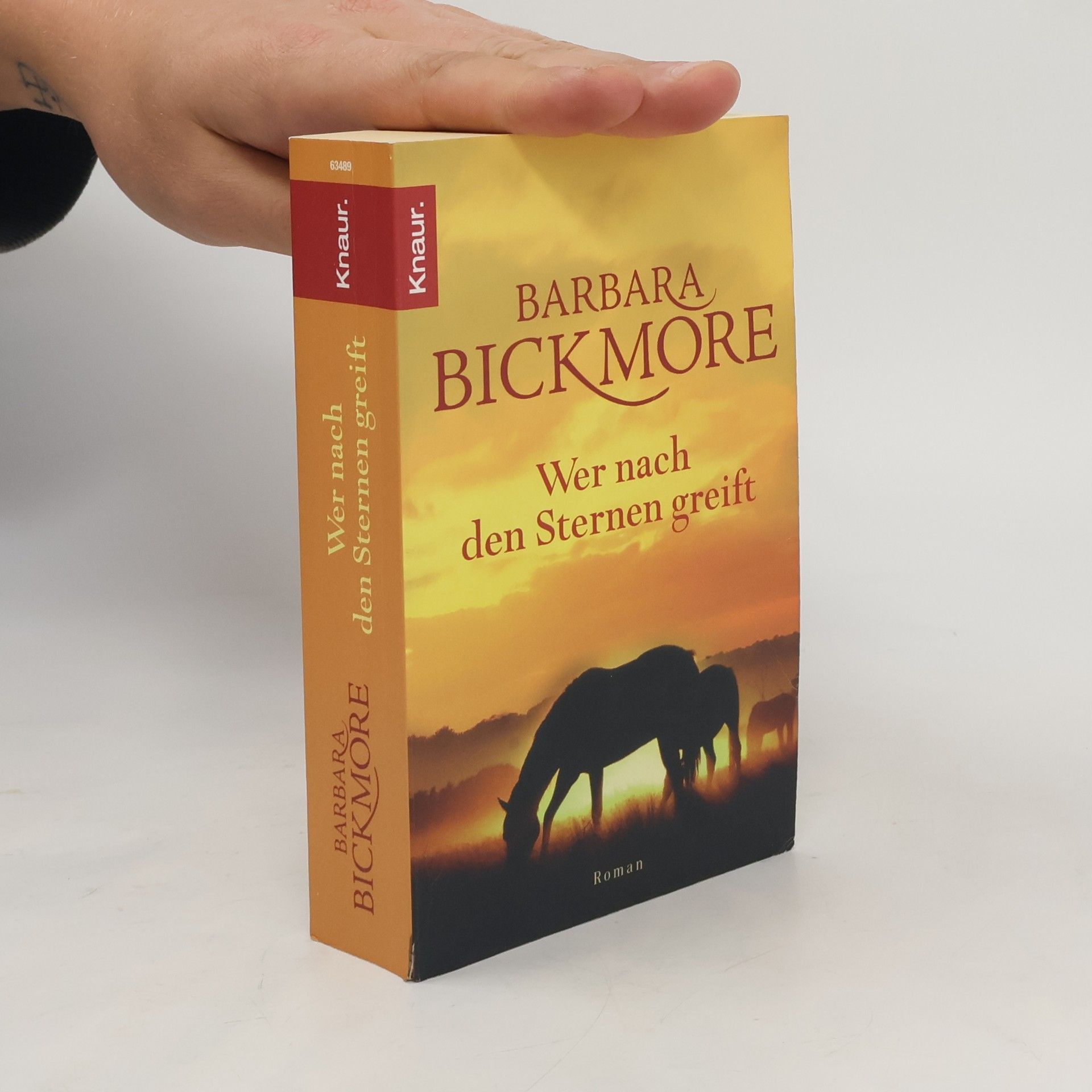 Barbara Bickmore Wer nach den Sternen greift