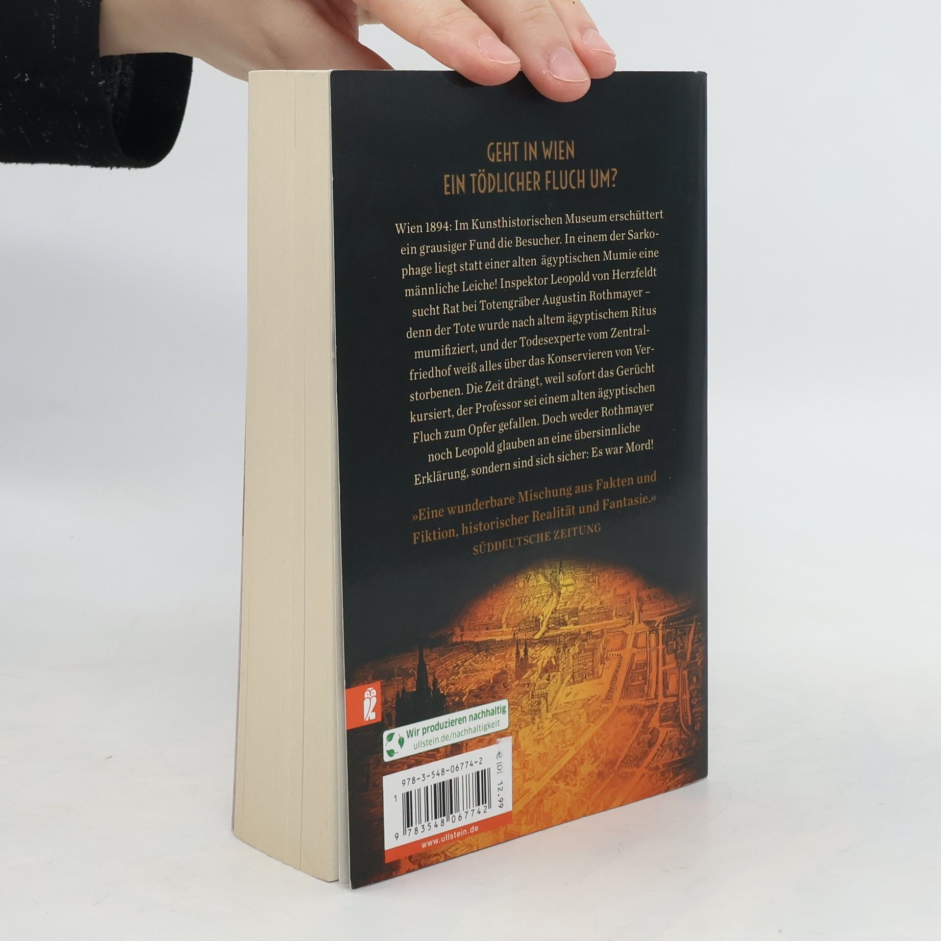 Oliver Pötzsch Das Mädchen und der Totengräber (Die Totengräber-Serie 2)