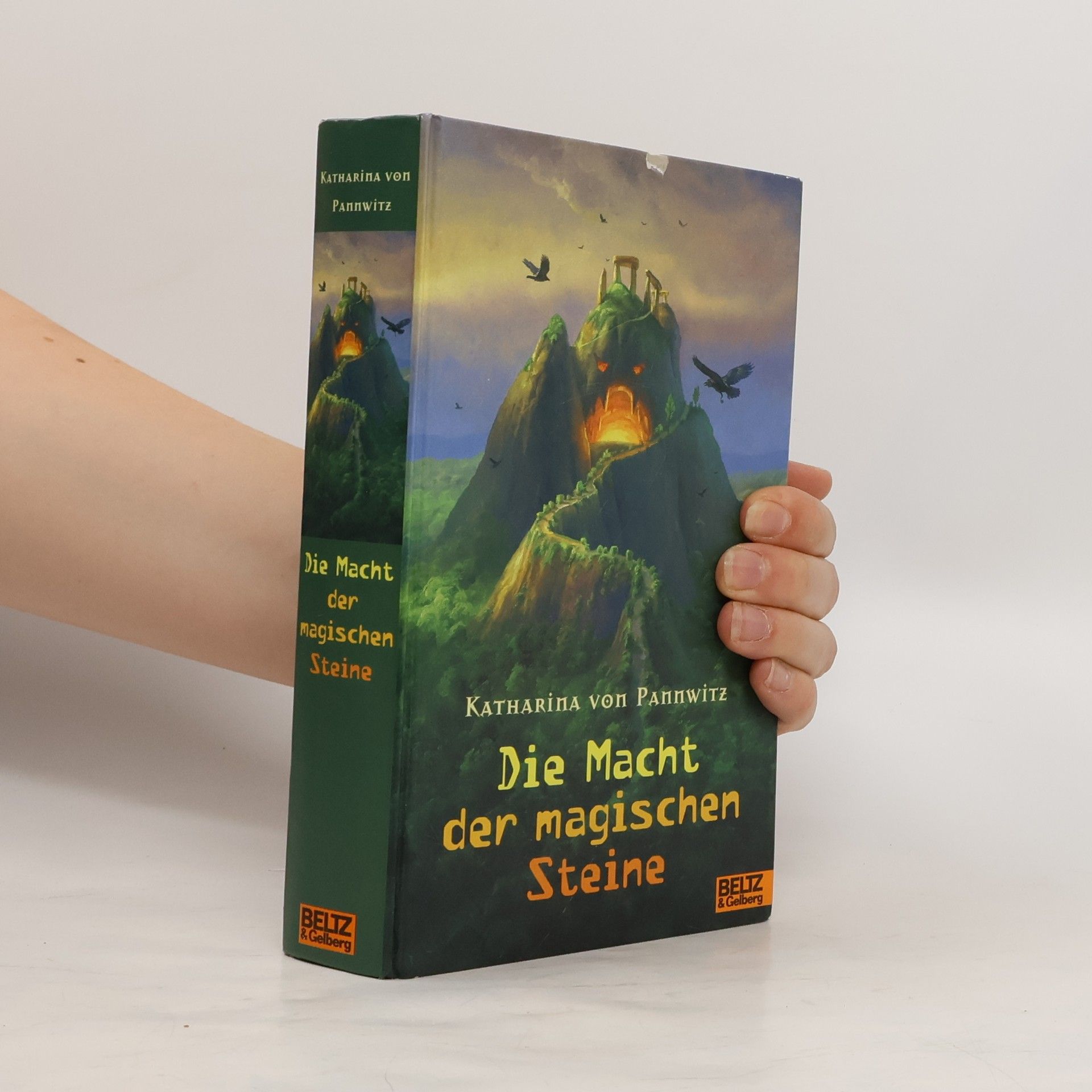 Katharina von Pannwitz Die Macht der magischen Steine