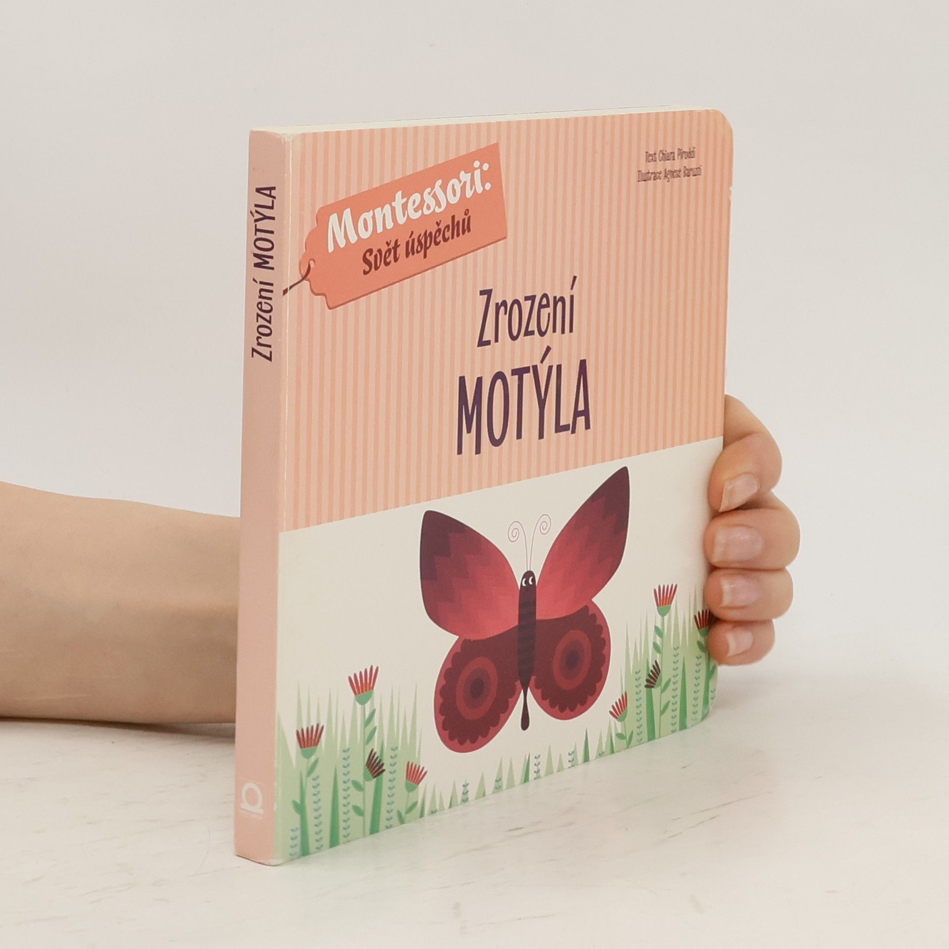 Chiara Piroddi Zrození motýla