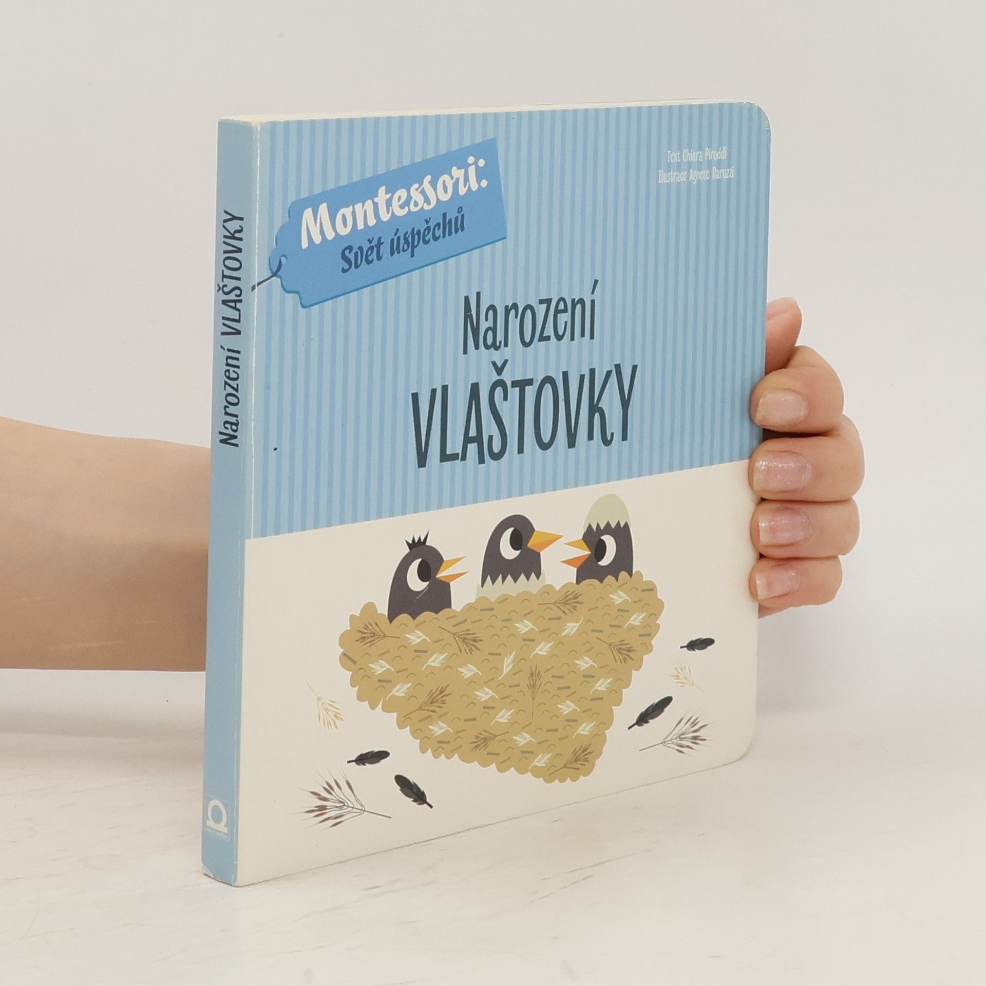 Chiara Piroddi Narození vlaštovky