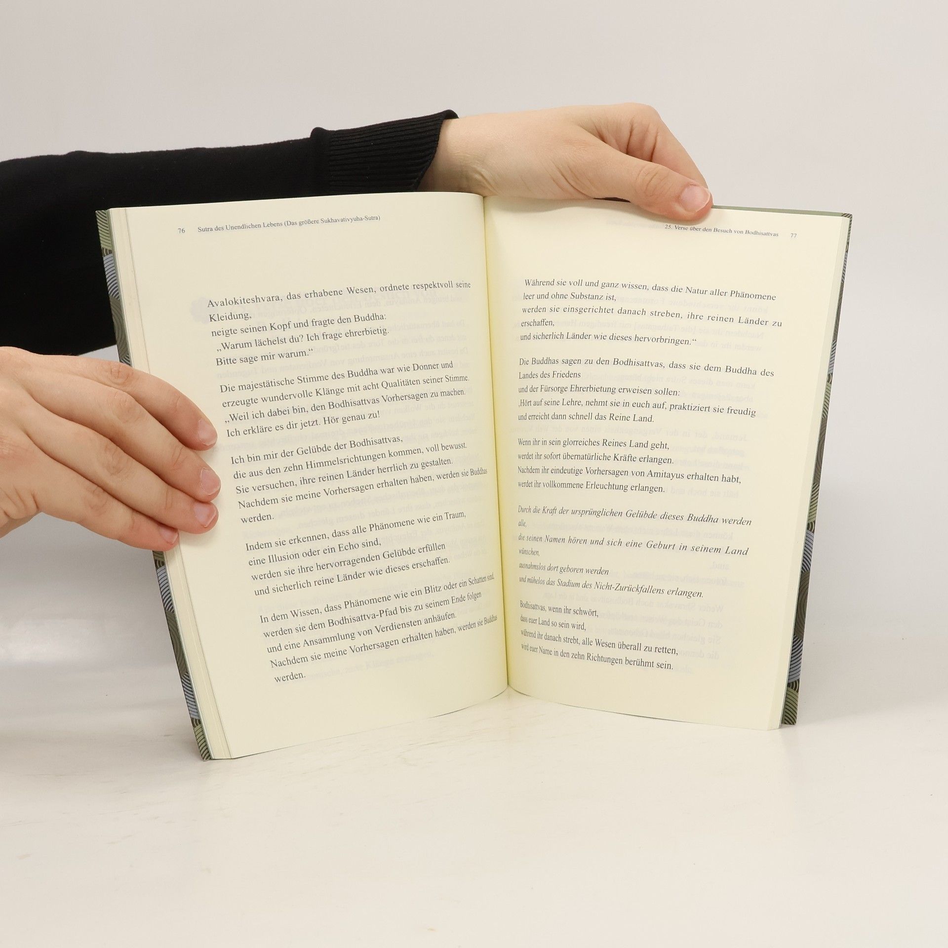 Elisabeth Pitzenbauer Sutra des Unendlichen Lebens (Das größere Sukhavativyuha-Sutra)