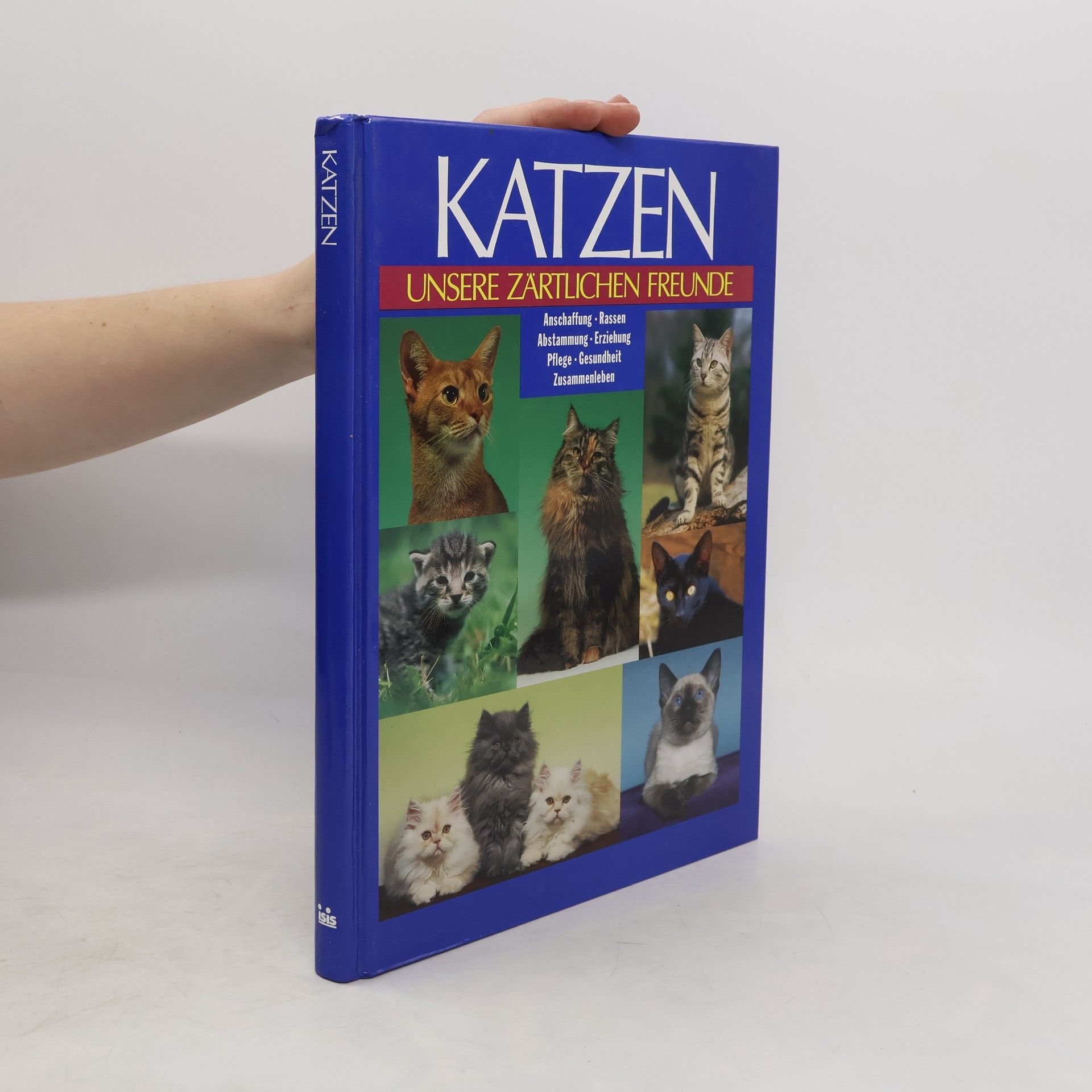Antje Breuer Katzen. Unsere zärtlichen Freunde