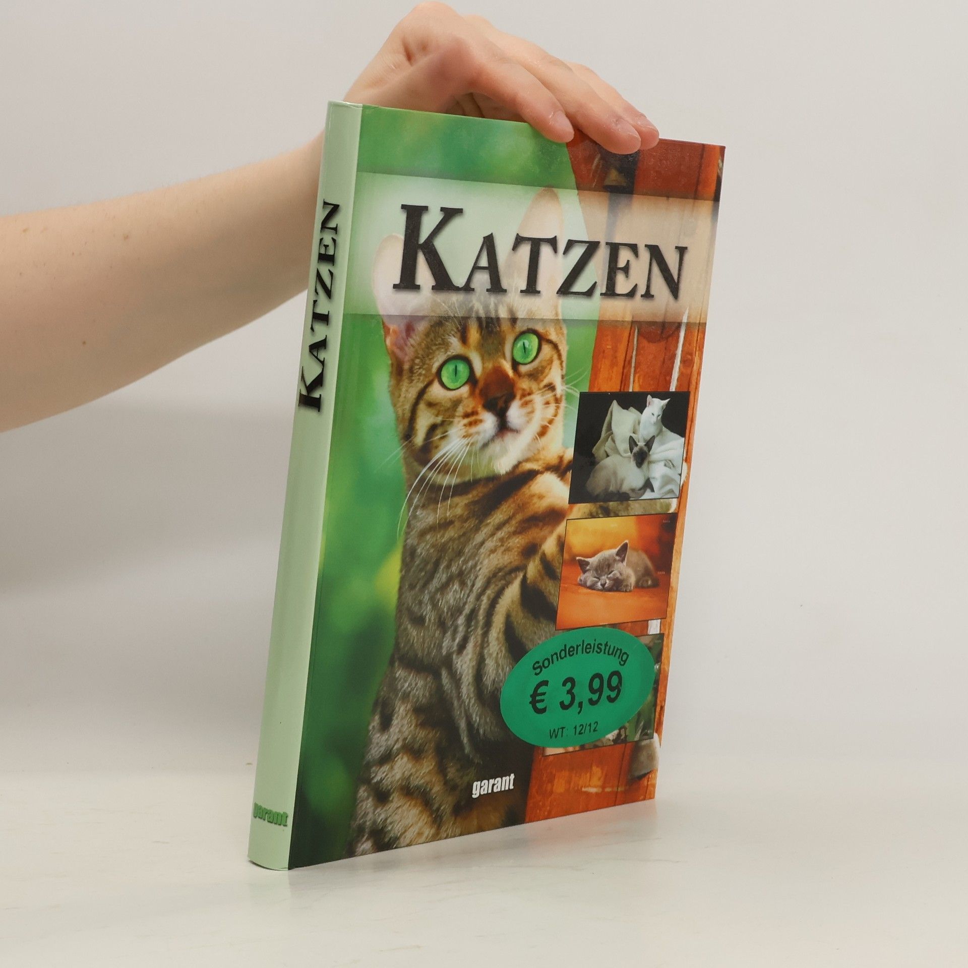 kolektiv Katzen