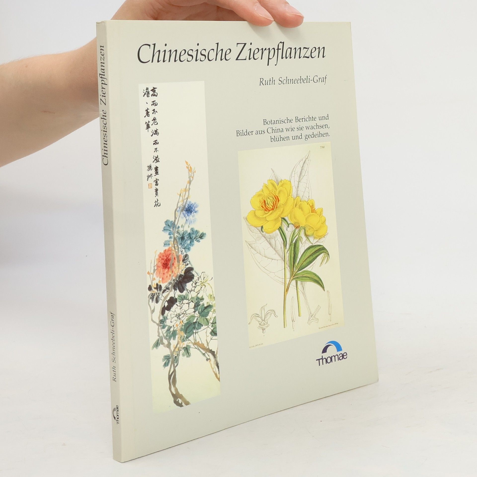 kolektiv Zierpflanzen Chinas