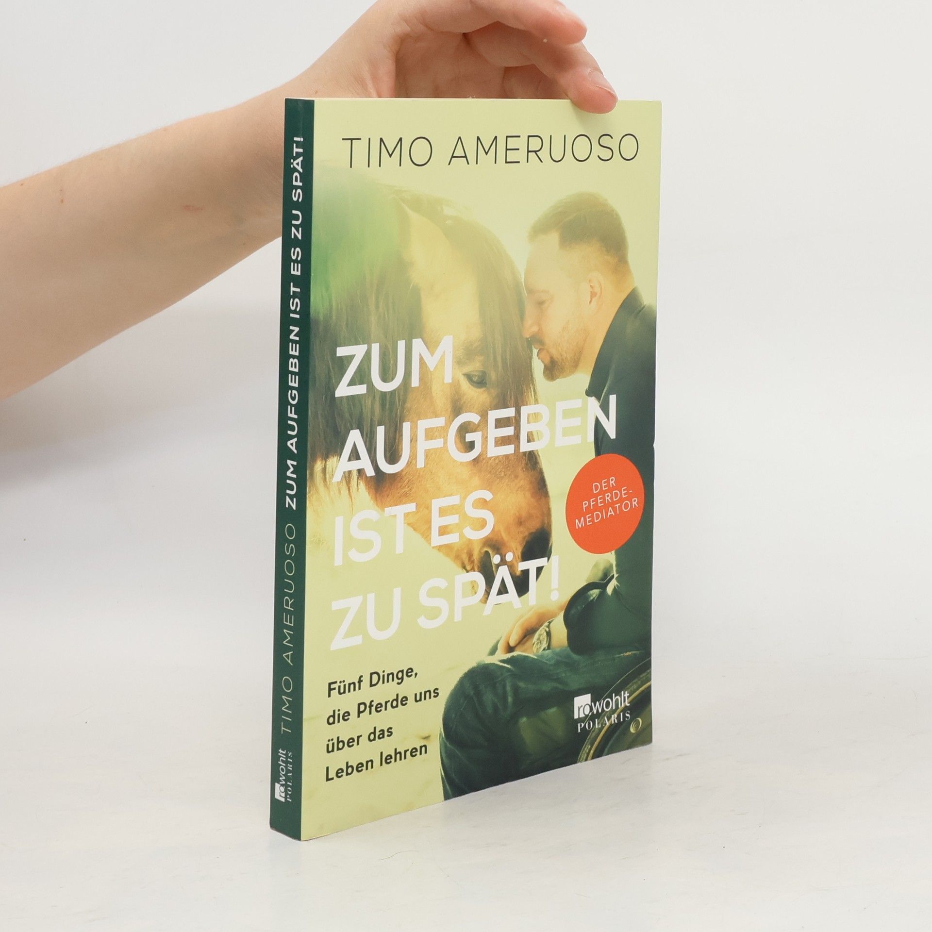 Timo Ameruoso Zum Aufgeben ist es zu spät!
